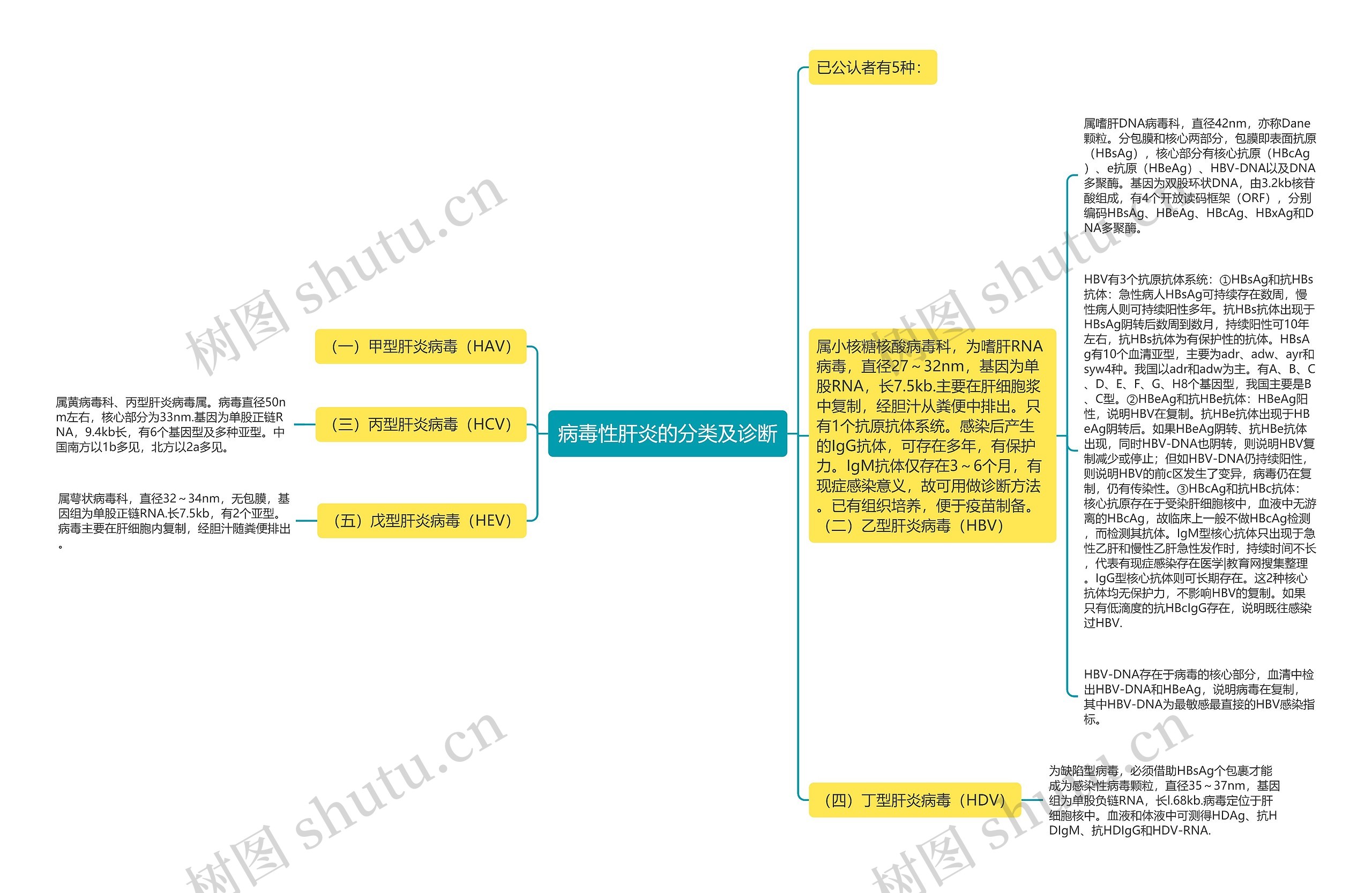 病毒性肝炎的分类及诊断 病毒性肝炎的分类及诊断