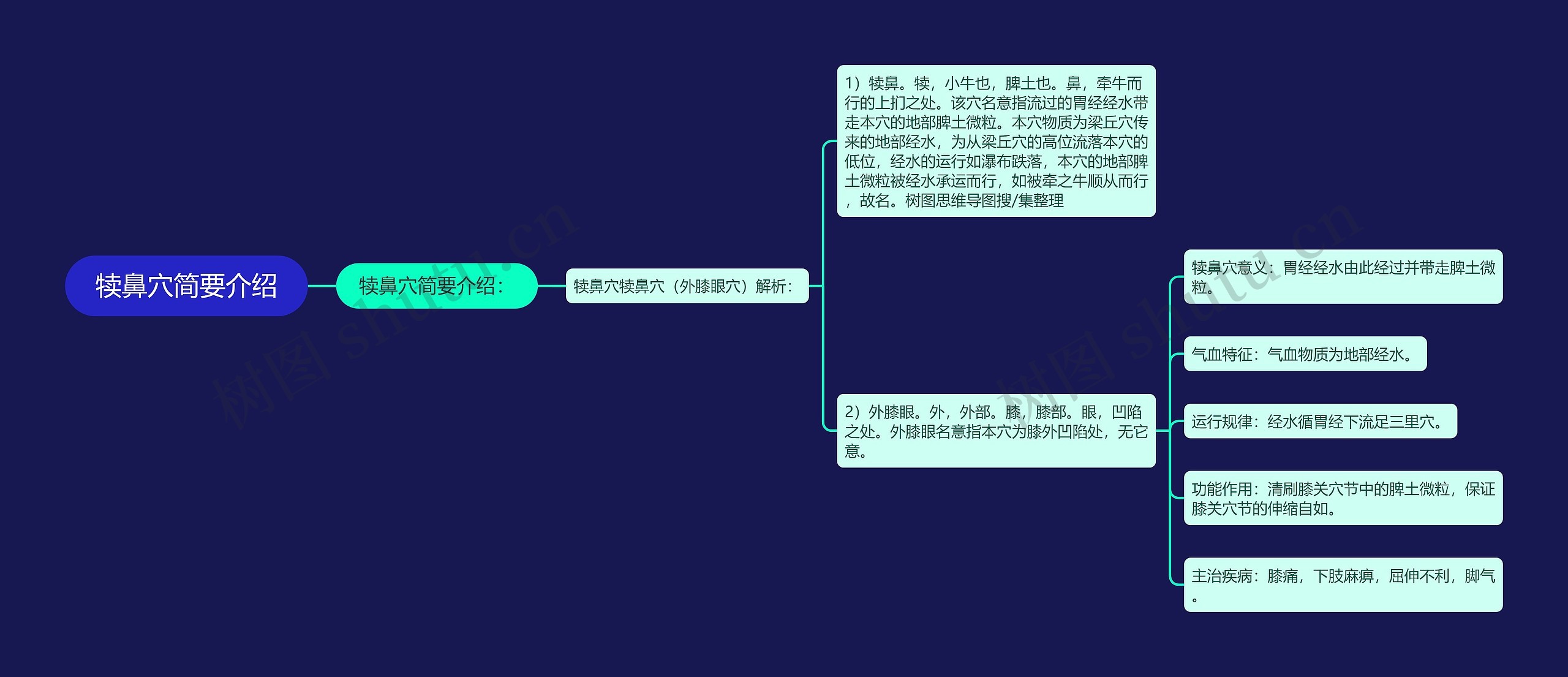 犊鼻穴简要介绍 犊鼻穴简要介绍