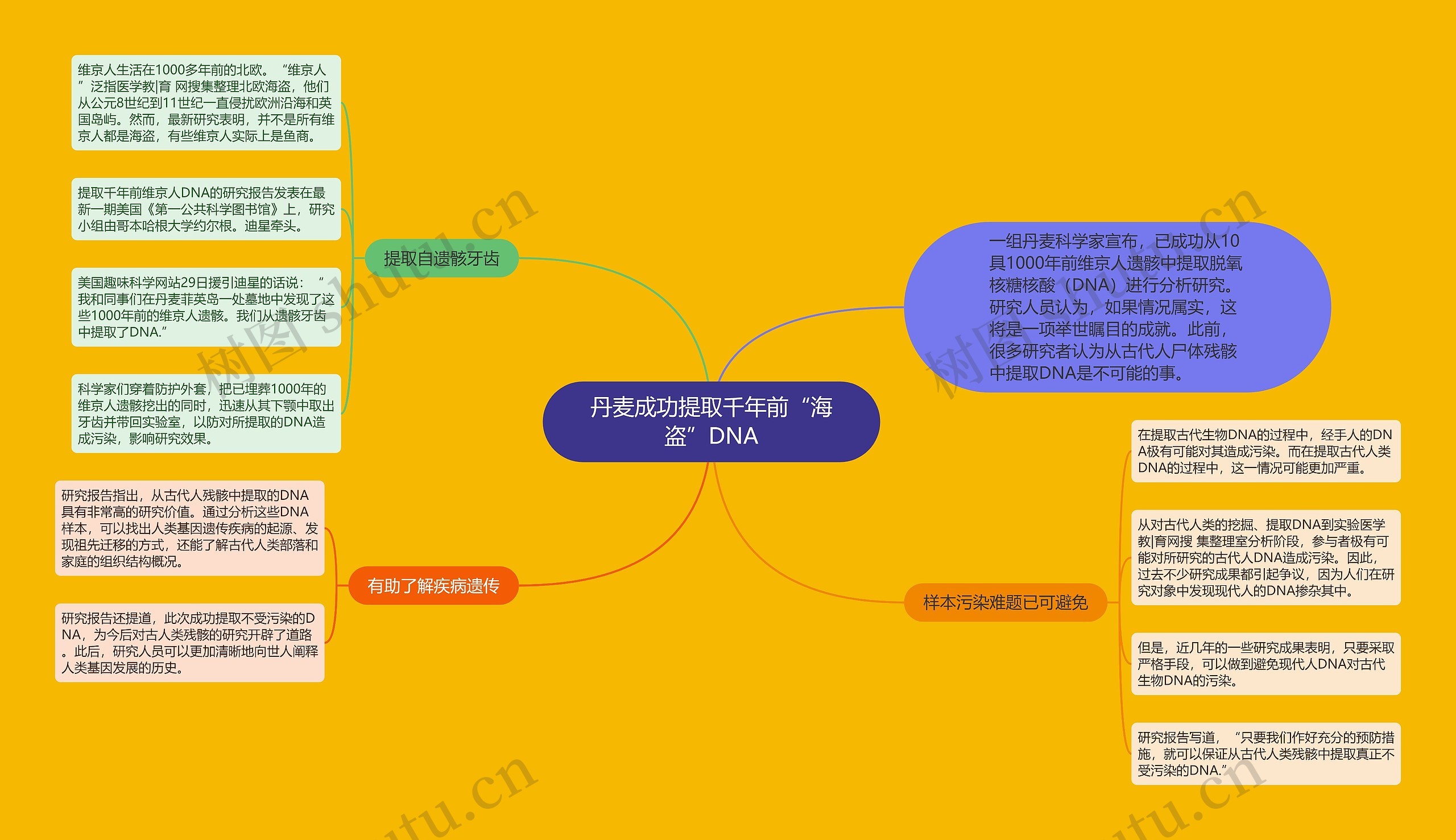 丹麦成功提取千年前“海盗”DNA