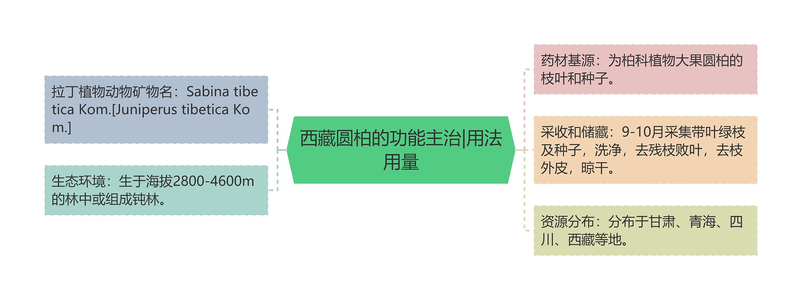 西藏圆柏的功能主治|用法用量思维导图