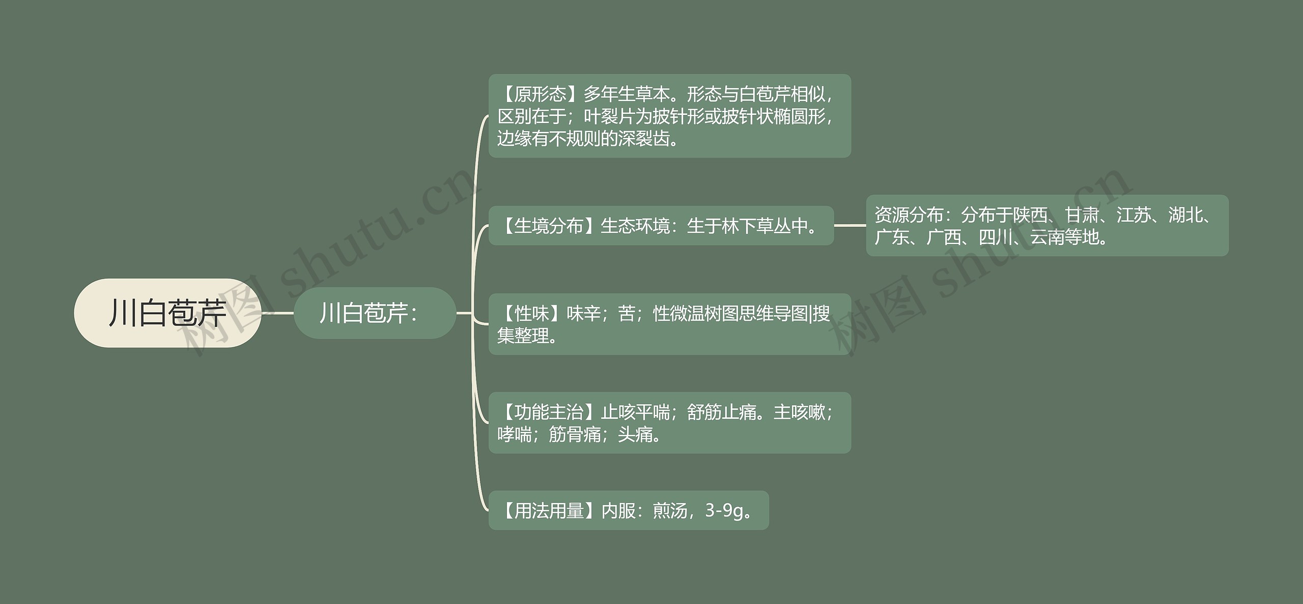 川白苞芹思维导图