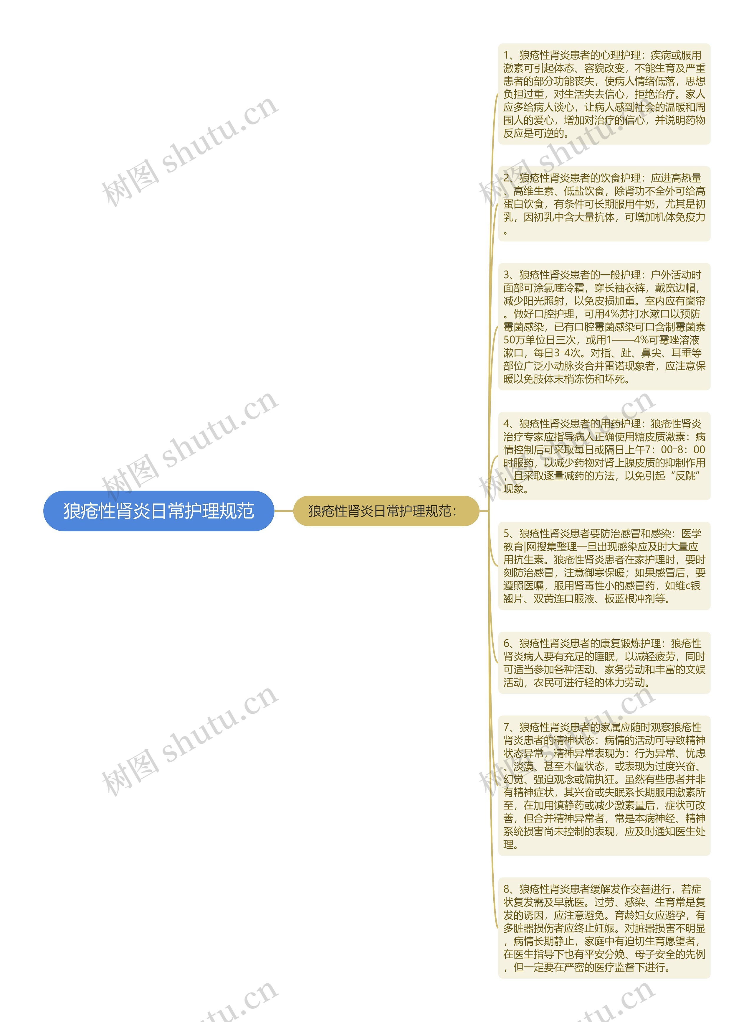 狼疮性肾炎日常护理规范思维导图