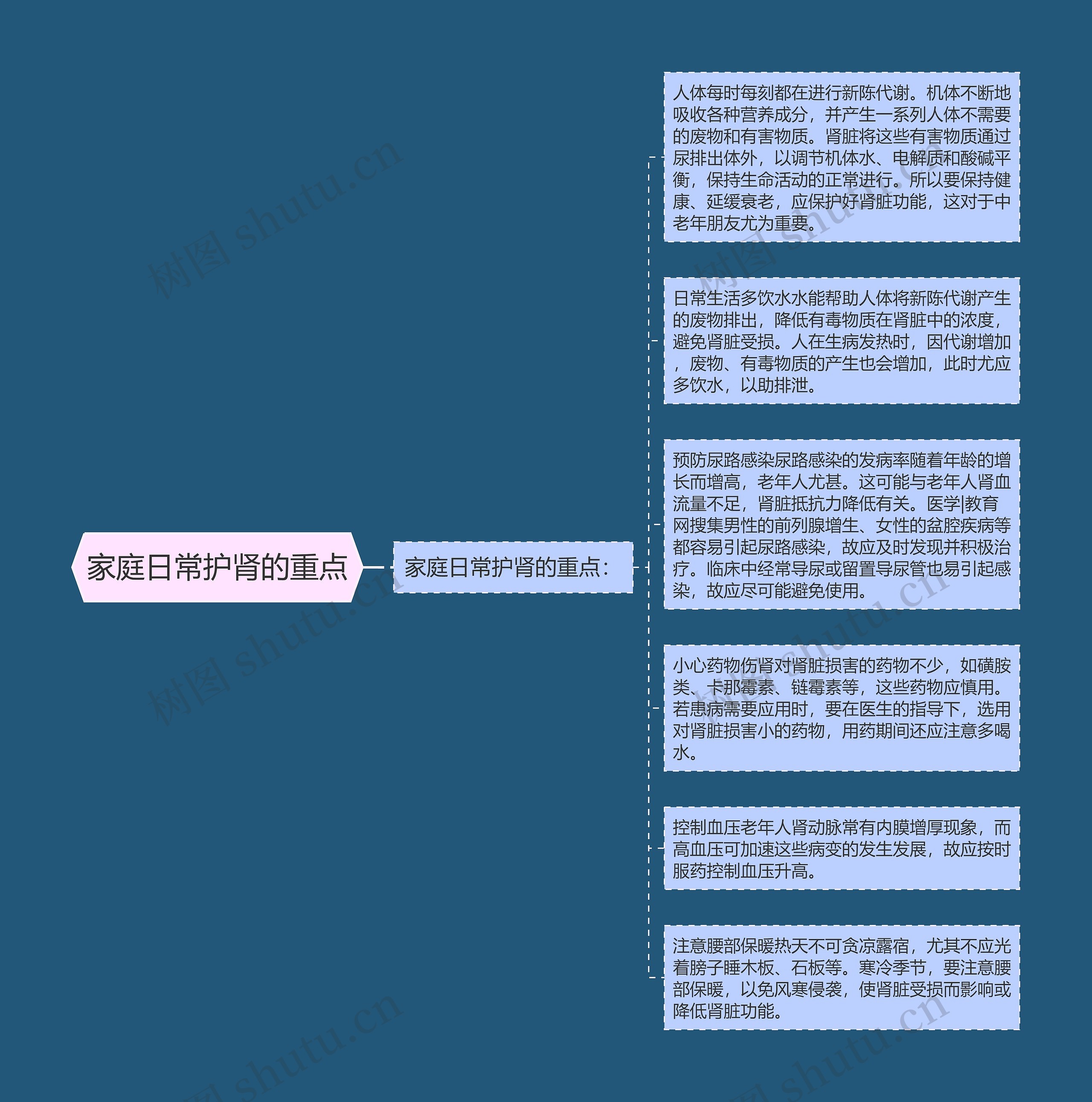 家庭日常护肾的重点思维导图