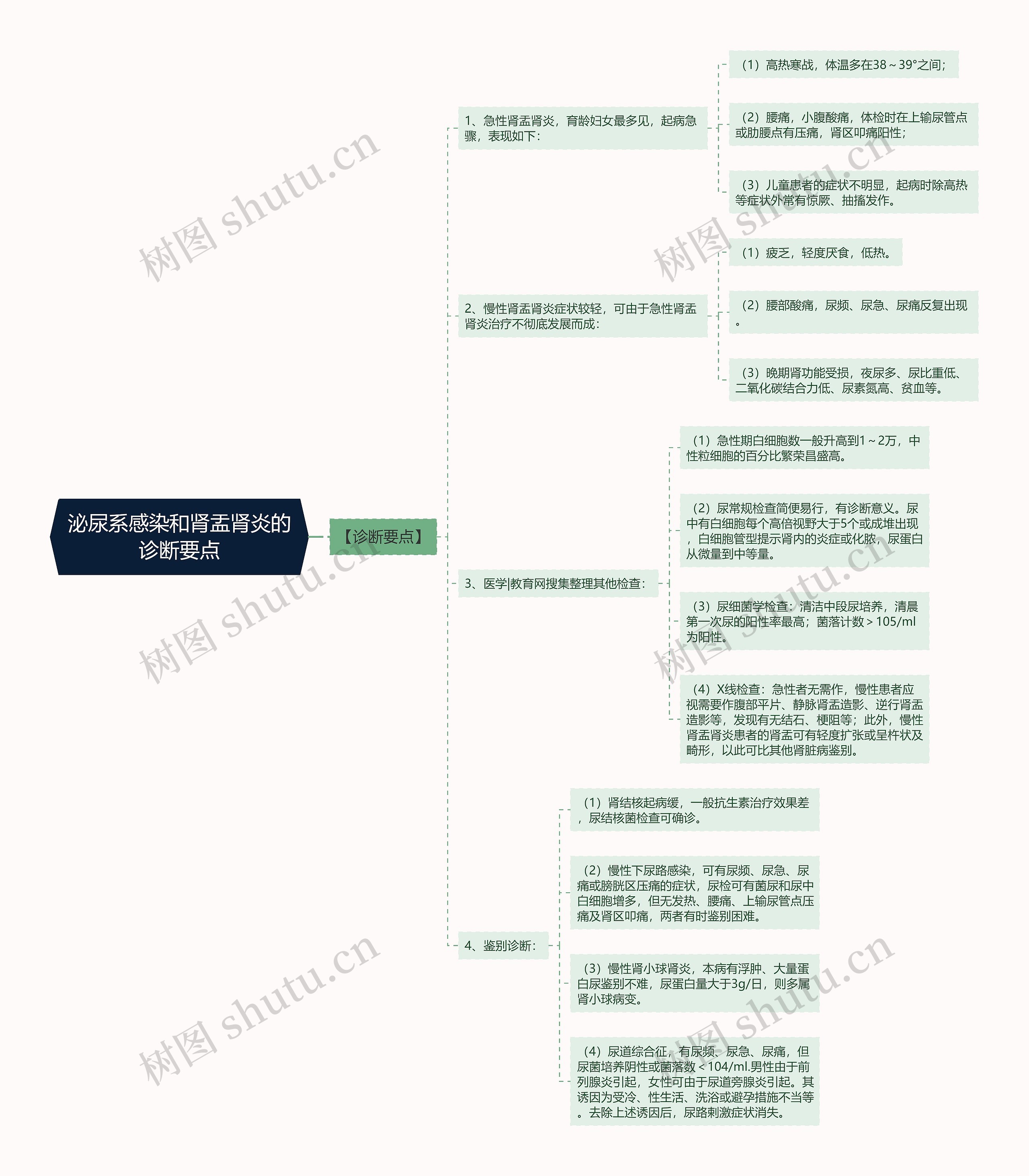 泌尿系感染和肾盂肾炎的诊断要点思维导图