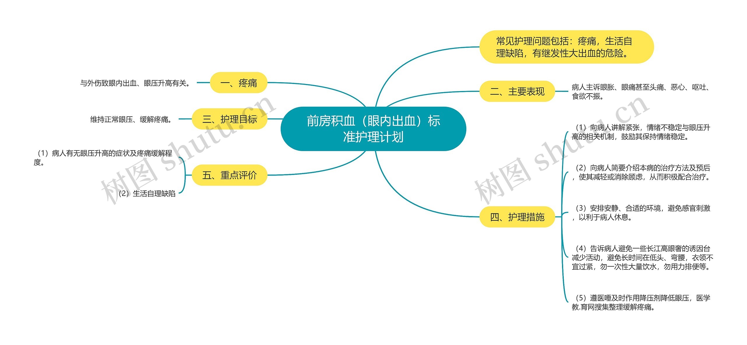 前房积血（眼内出血）标准护理计划思维导图