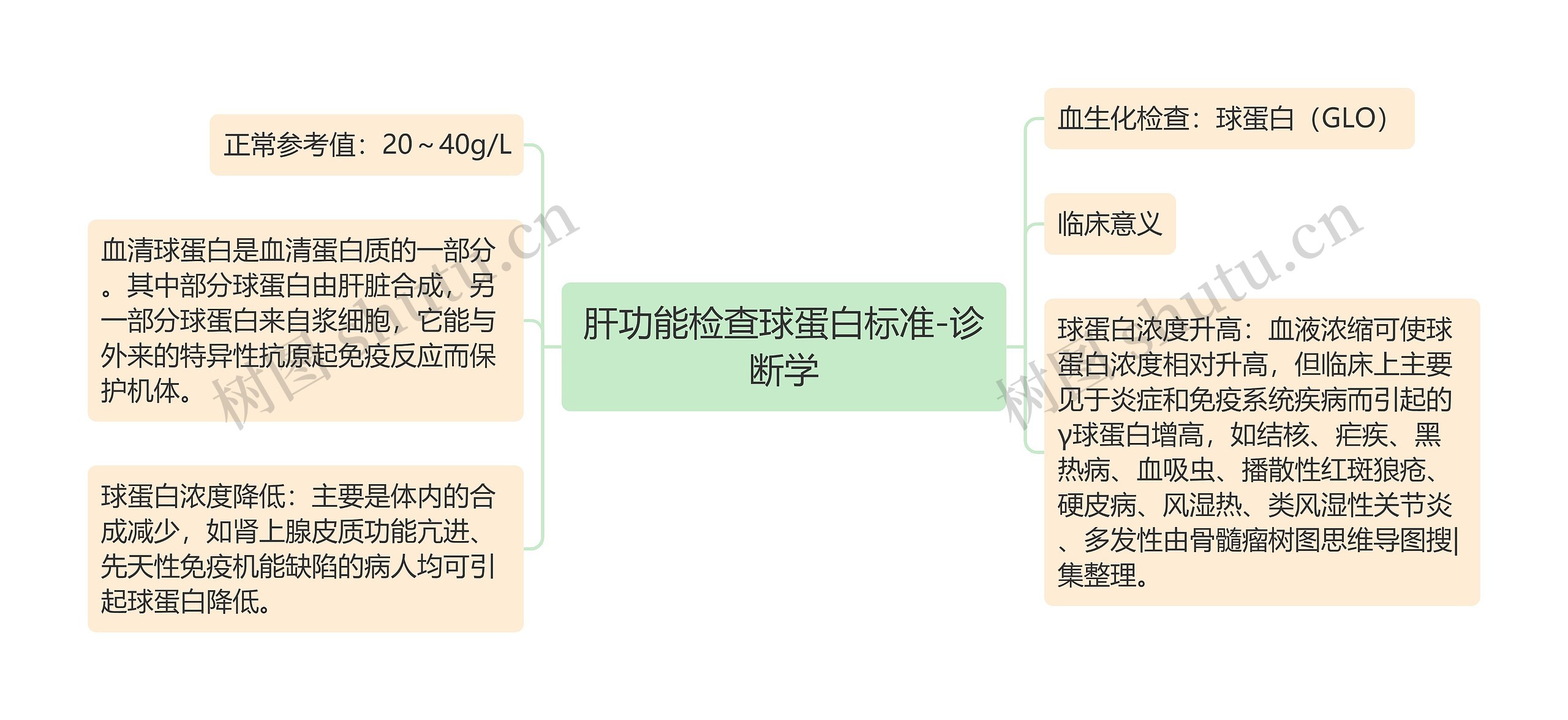 肝功能检查球蛋白标准-诊断学思维导图