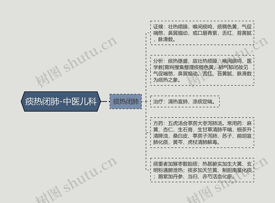 痰热闭肺-中医儿科思维导图_编号p6861118-TreeMind树图
