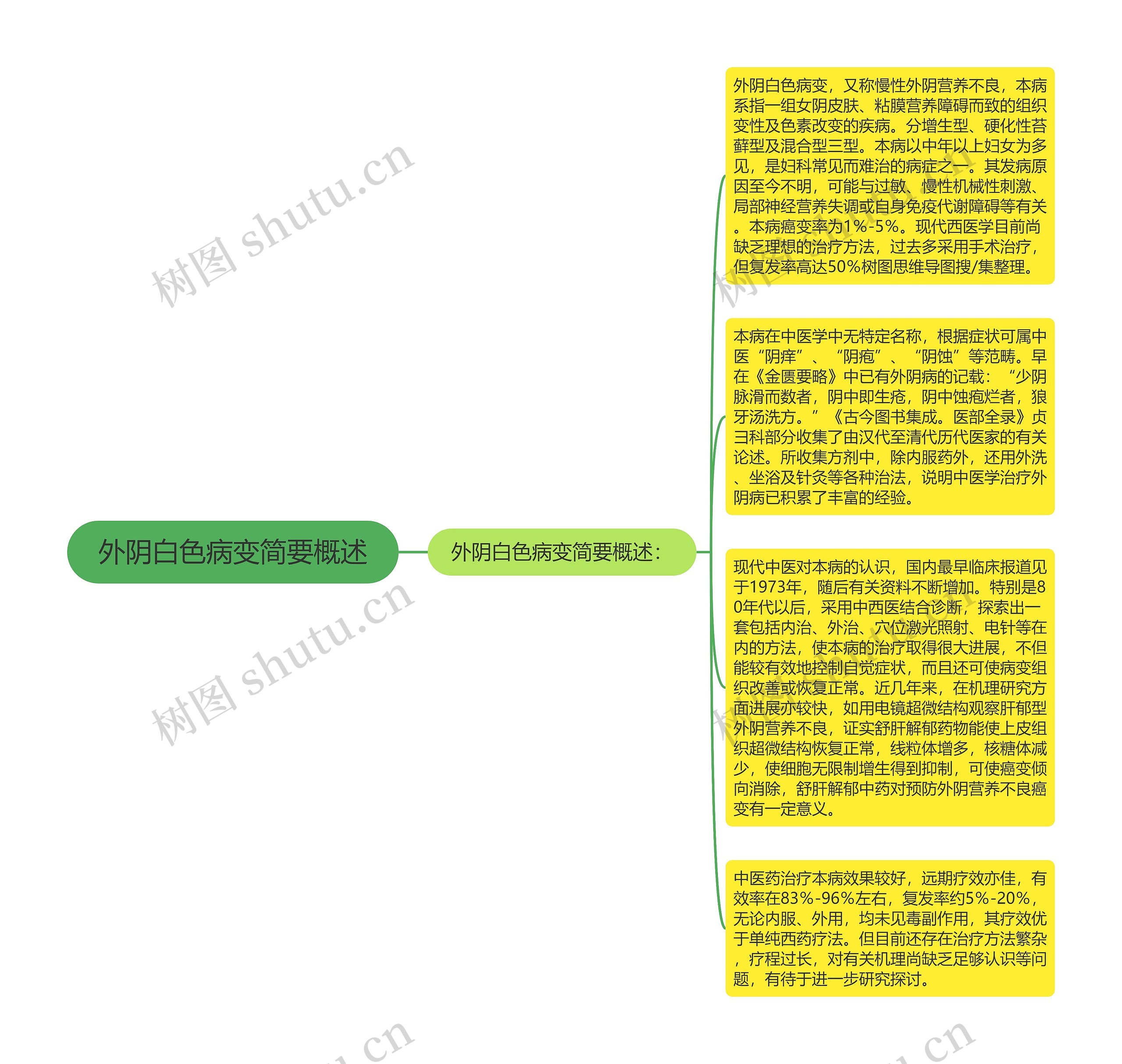 外阴白色病变简要概述思维导图