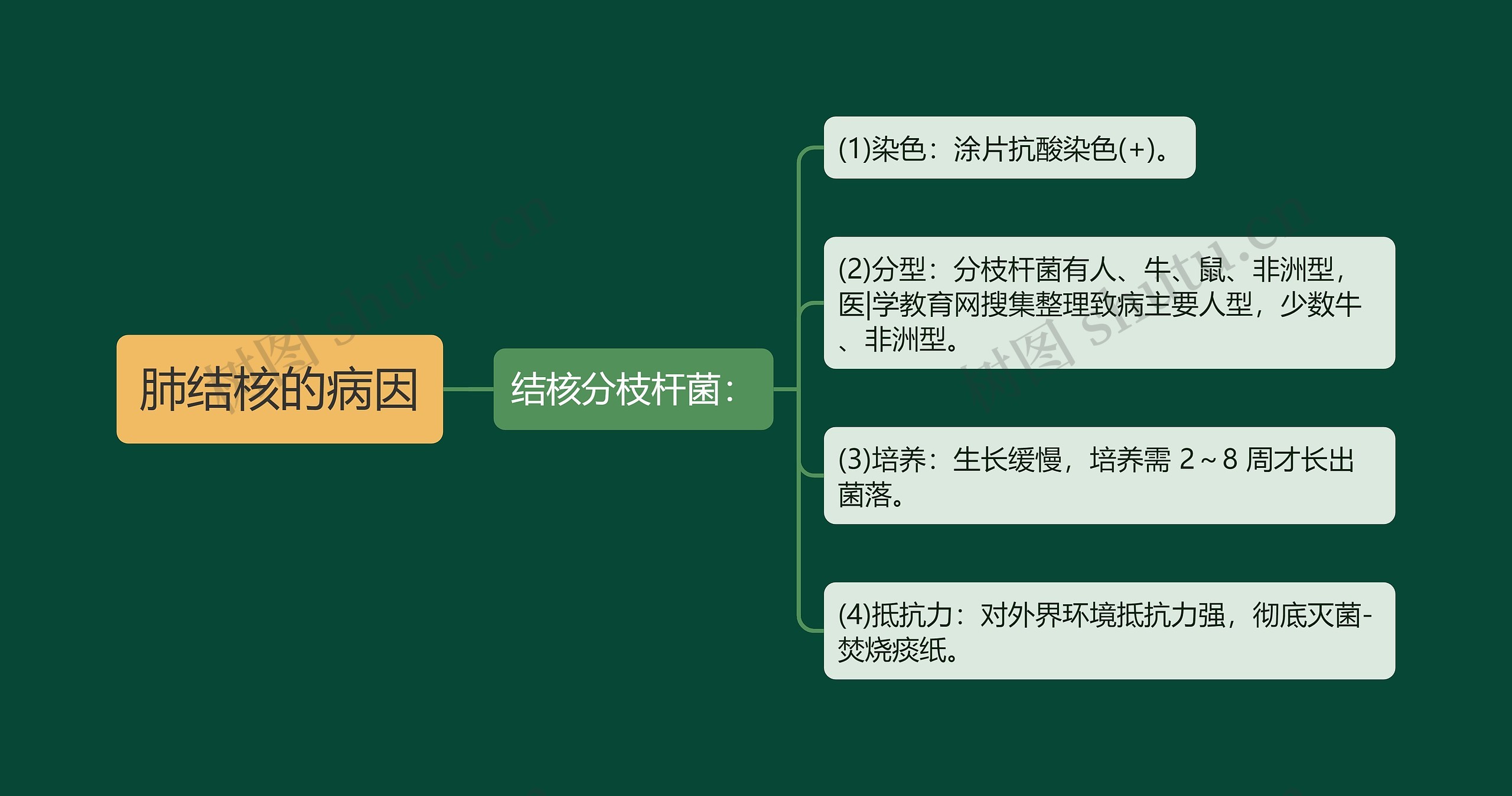 肺结核的病因思维导图