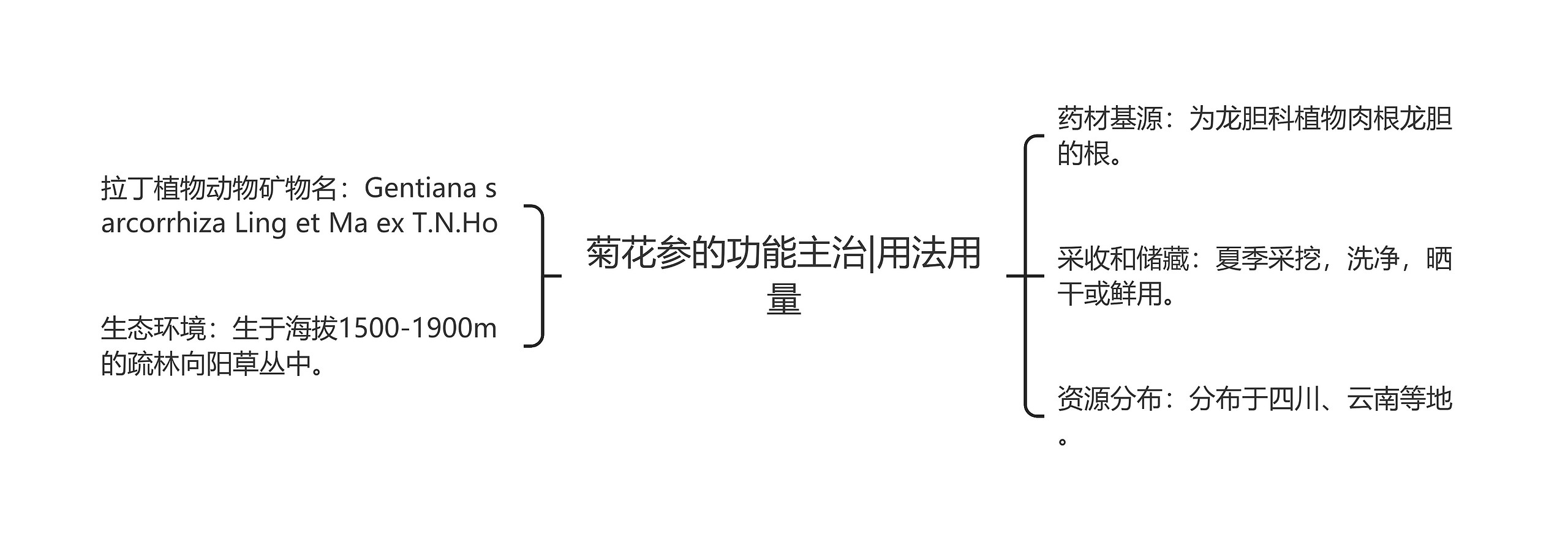 菊花参的功能主治|用法用量