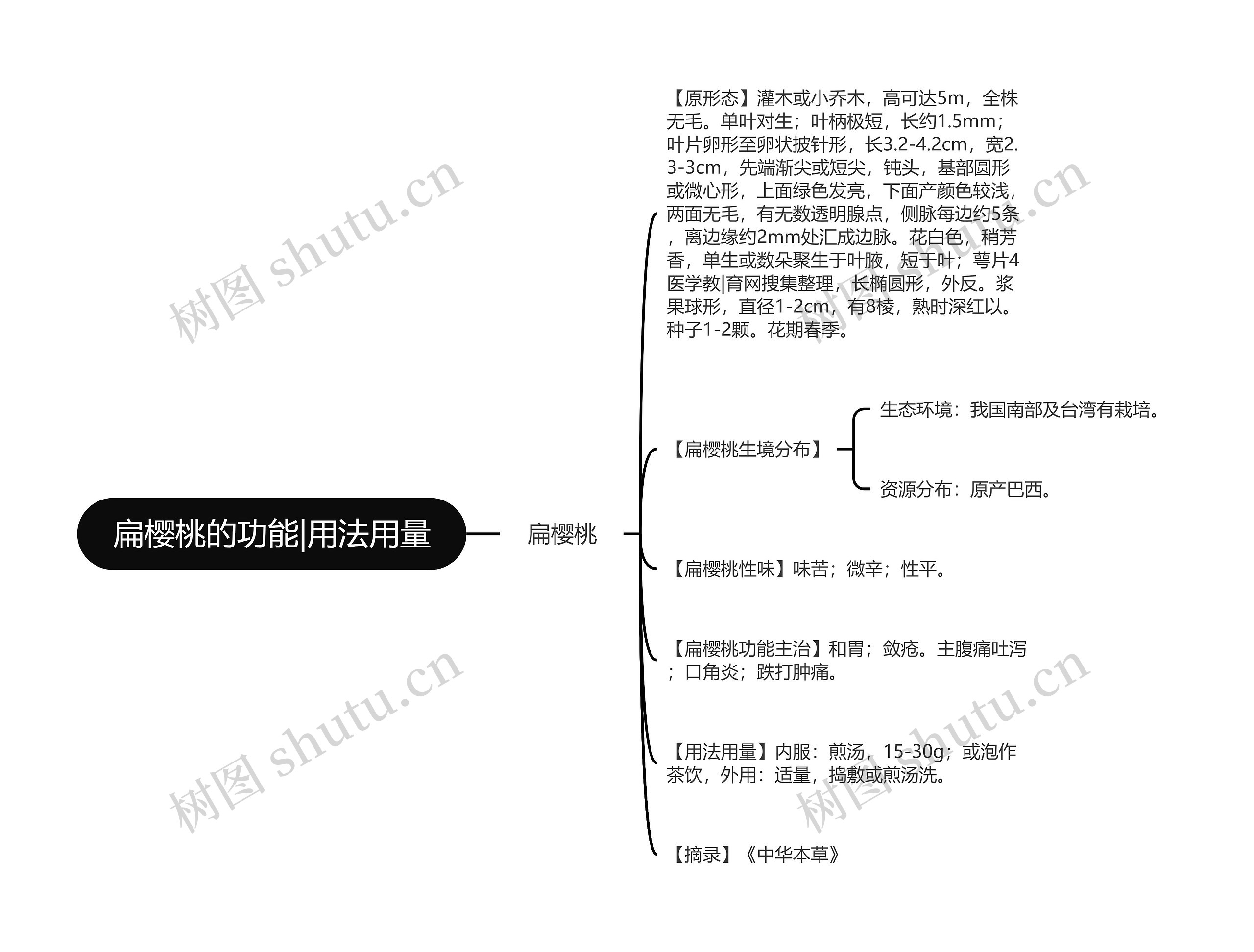 扁樱桃的功能|用法用量 扁樱桃的功能|用法用量