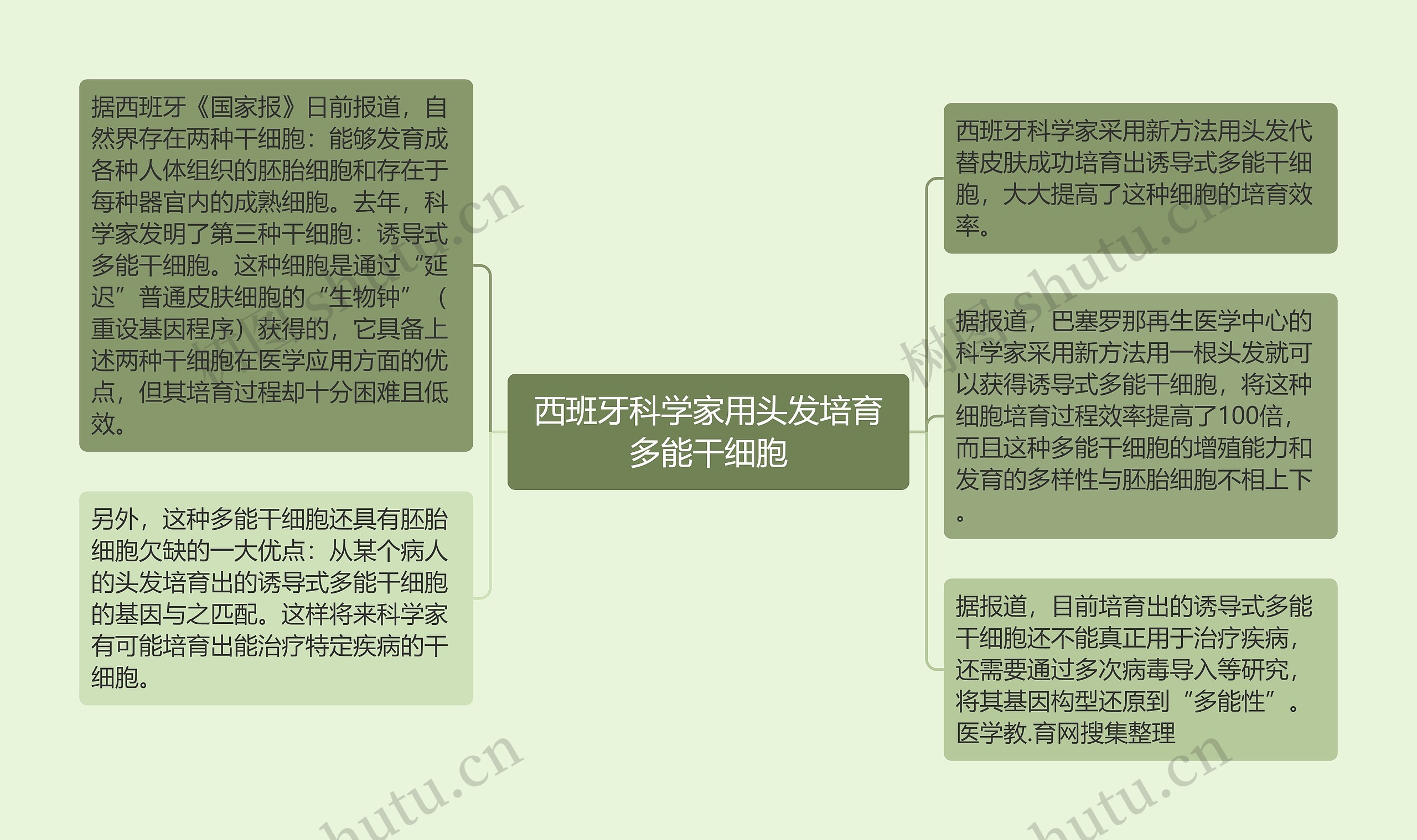 西班牙科学家用头发培育多能干细胞