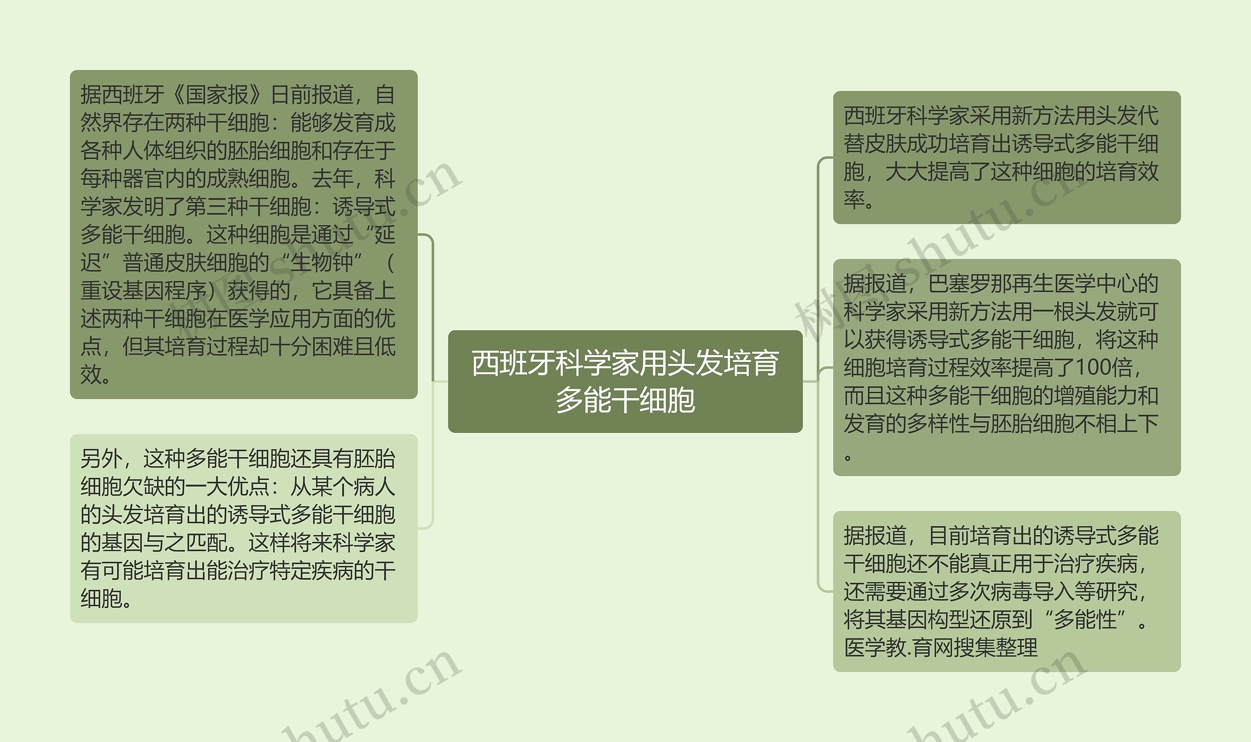 西班牙科学家用头发培育多能干细胞思维导图