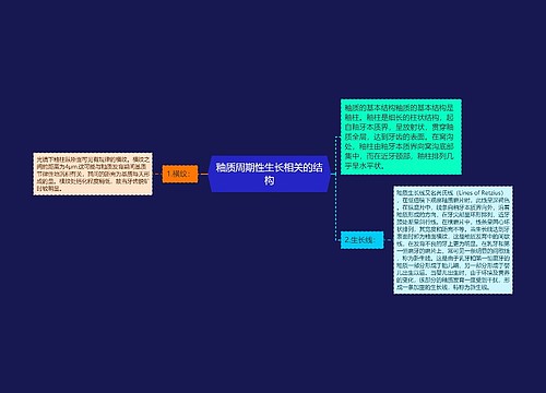 釉质周期性生长相关的结构