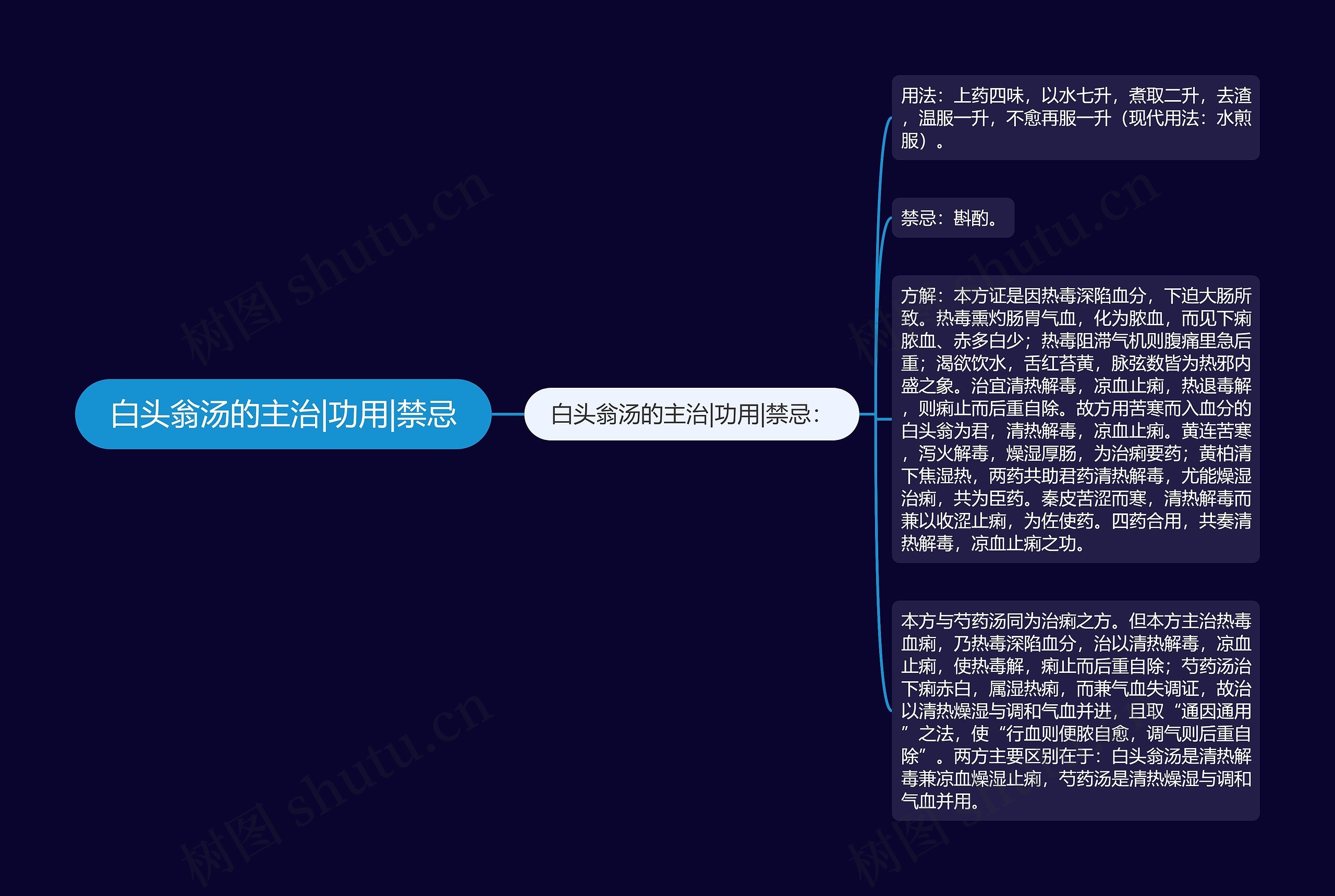 白头翁汤的主治|功用|禁忌思维导图