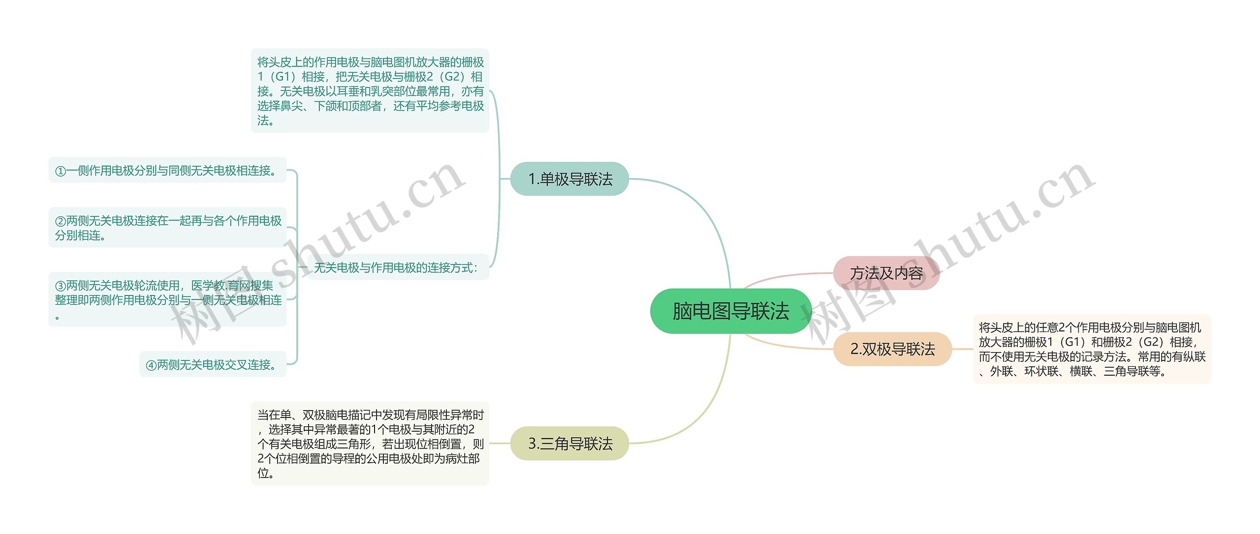 脑电图导联法