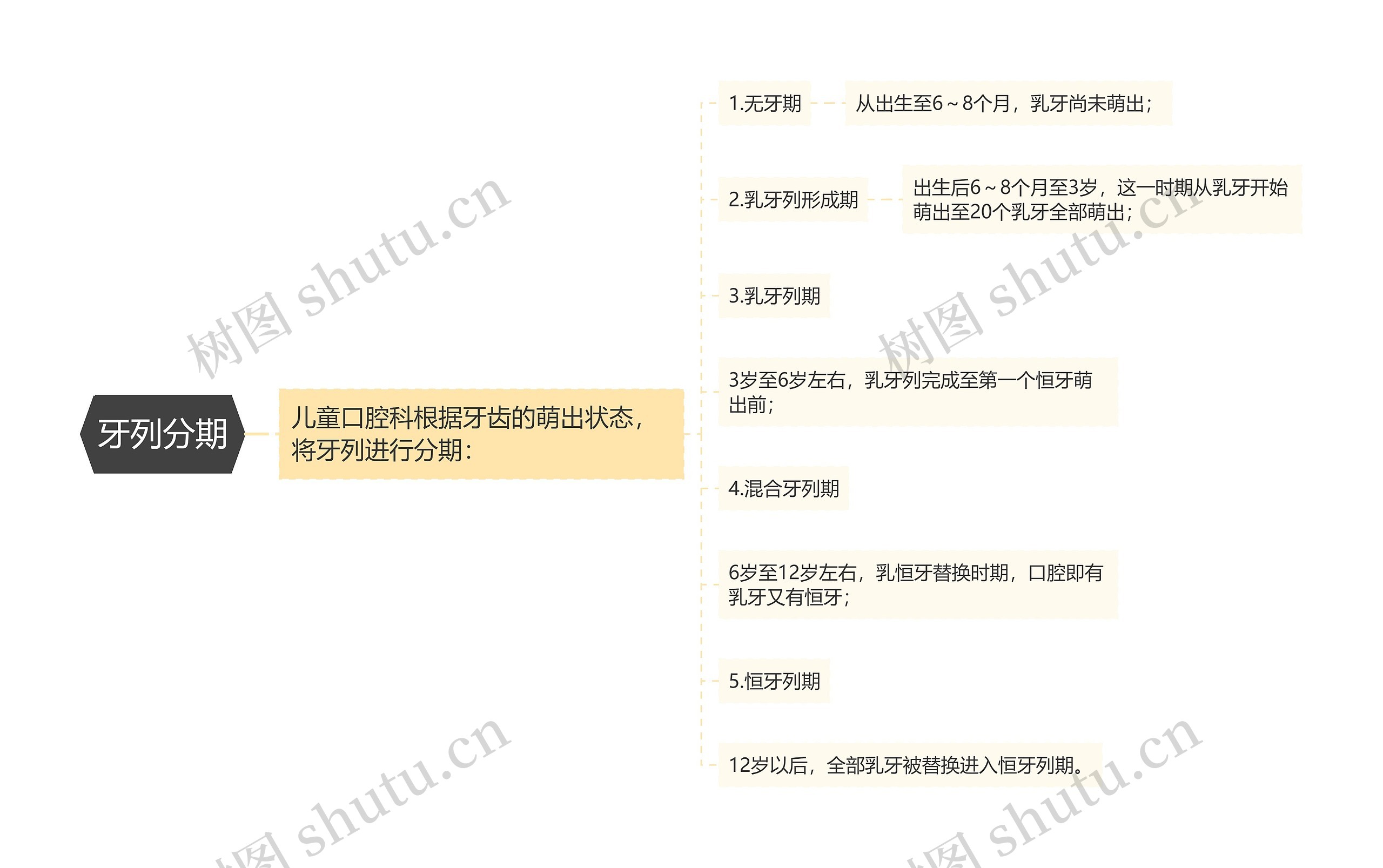 牙列分期 牙列分期