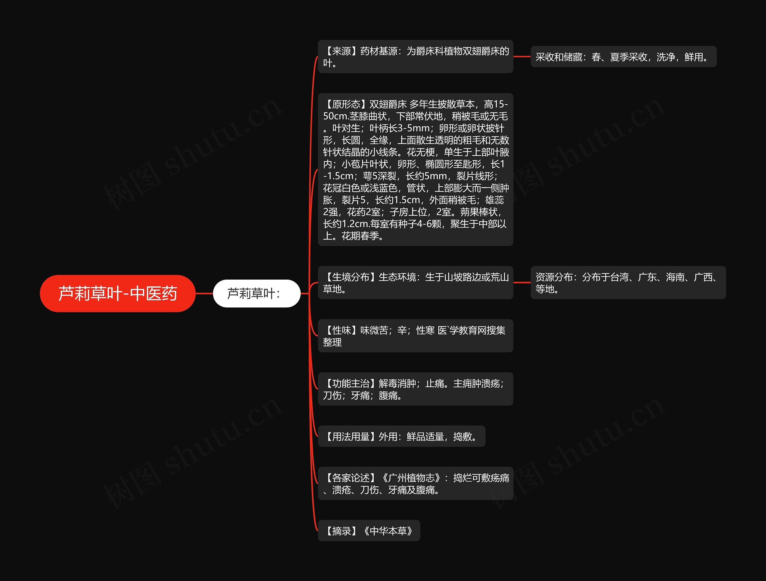 芦莉草叶-中医药思维导图
