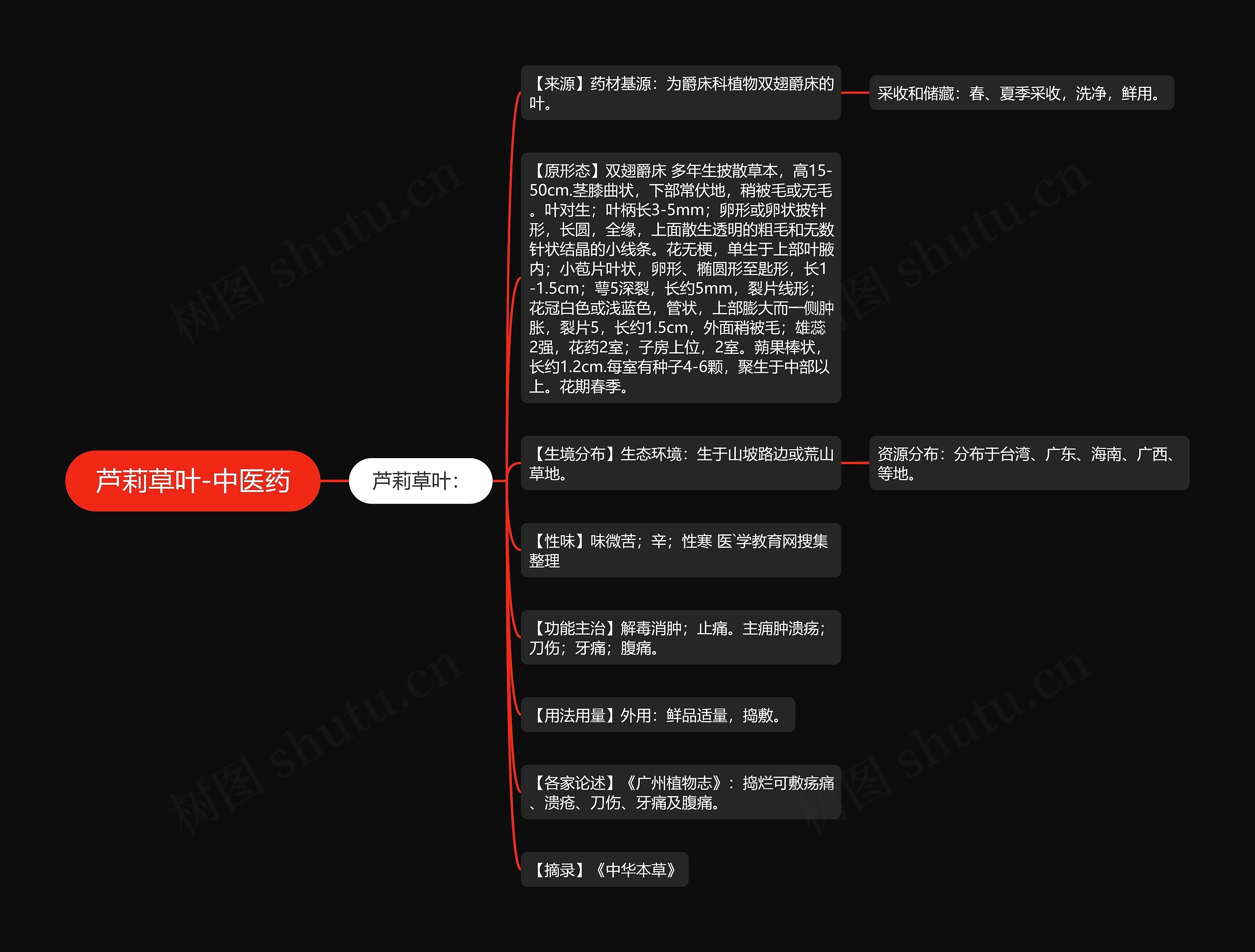 芦莉草叶-中医药 芦莉草叶-中医药
