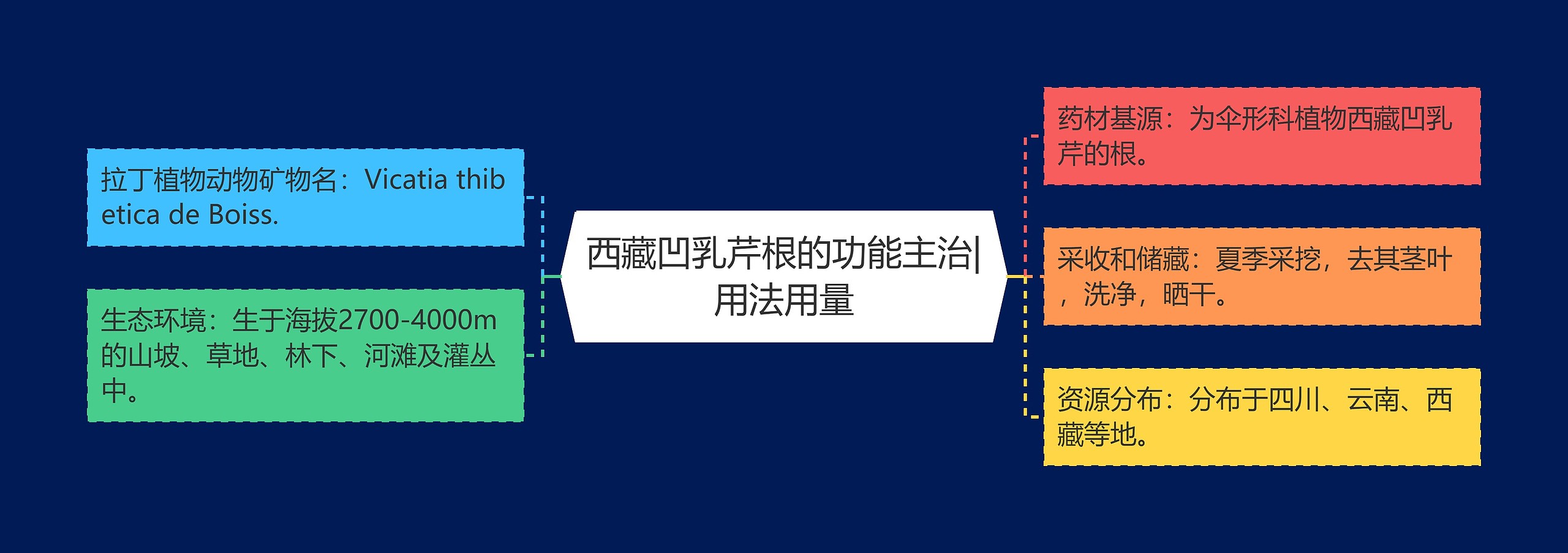 西藏凹乳芹根的功能主治|用法用量 西藏凹乳芹根的功能主治|用法用量