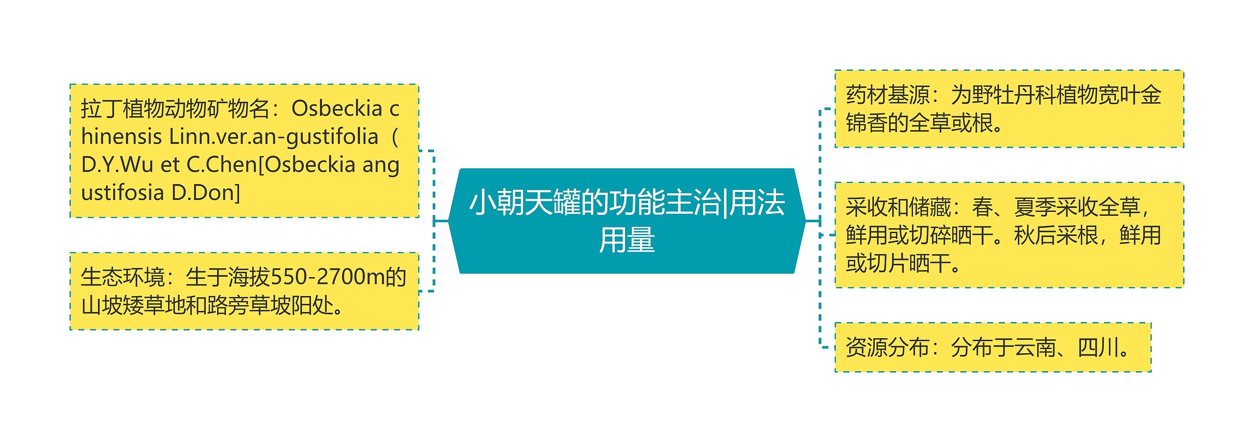 小朝天罐的功能主治|用法用量 小朝天罐的功能主治|用法用量
