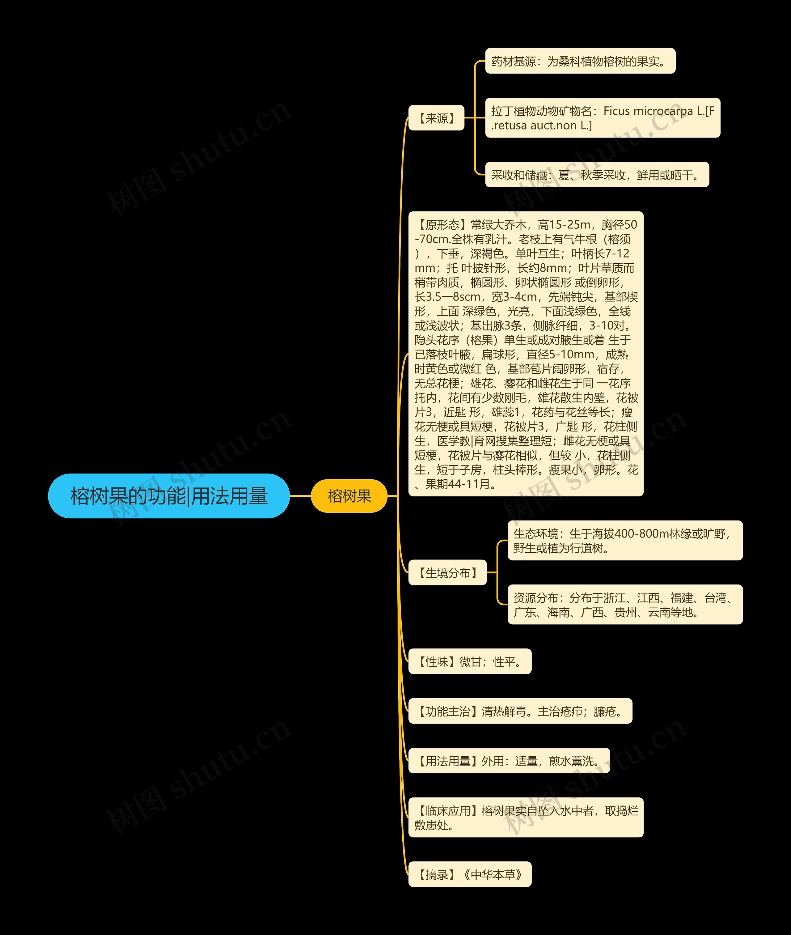 榕树果的功能|用法用量思维导图