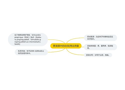 黄龙藤叶的功效|用法用量