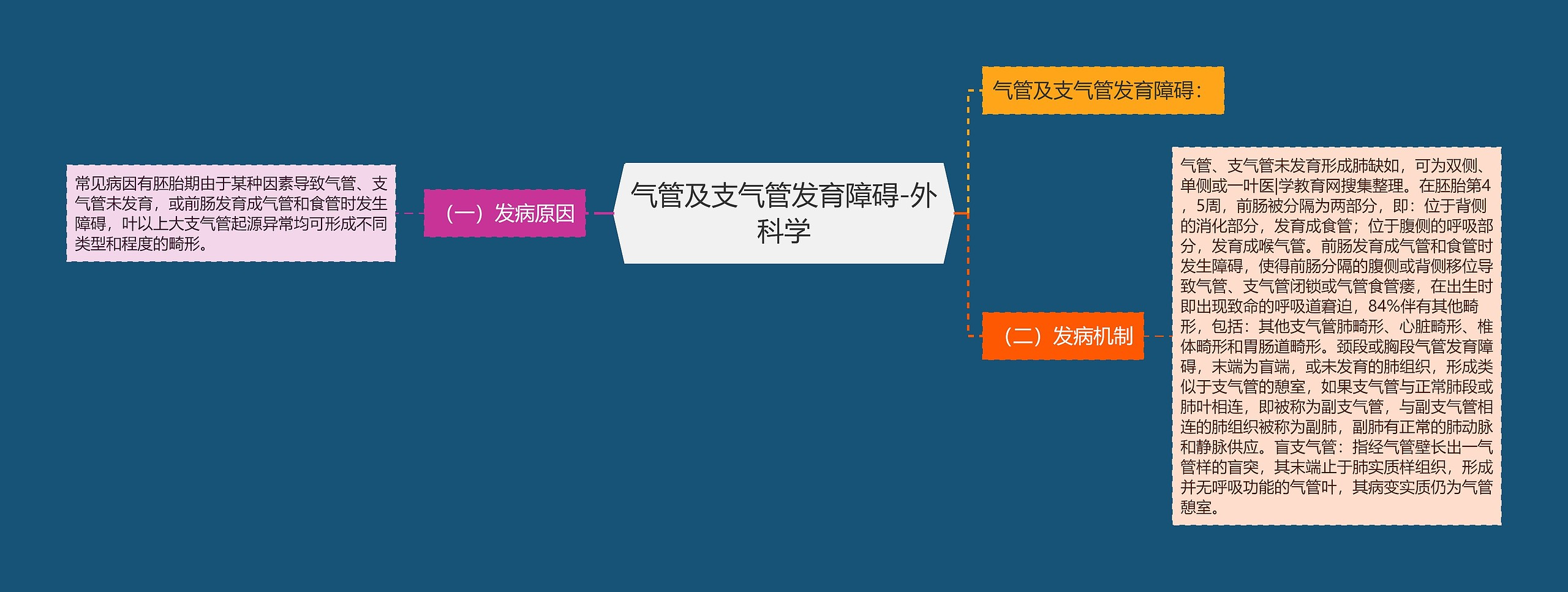 气管及支气管发育障碍-外科学思维导图