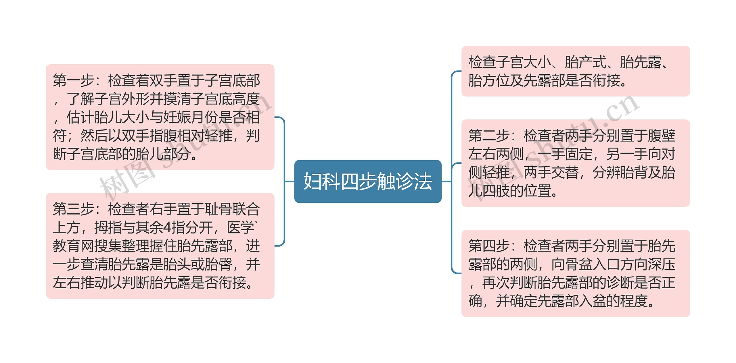 妇科四步触诊法思维导图