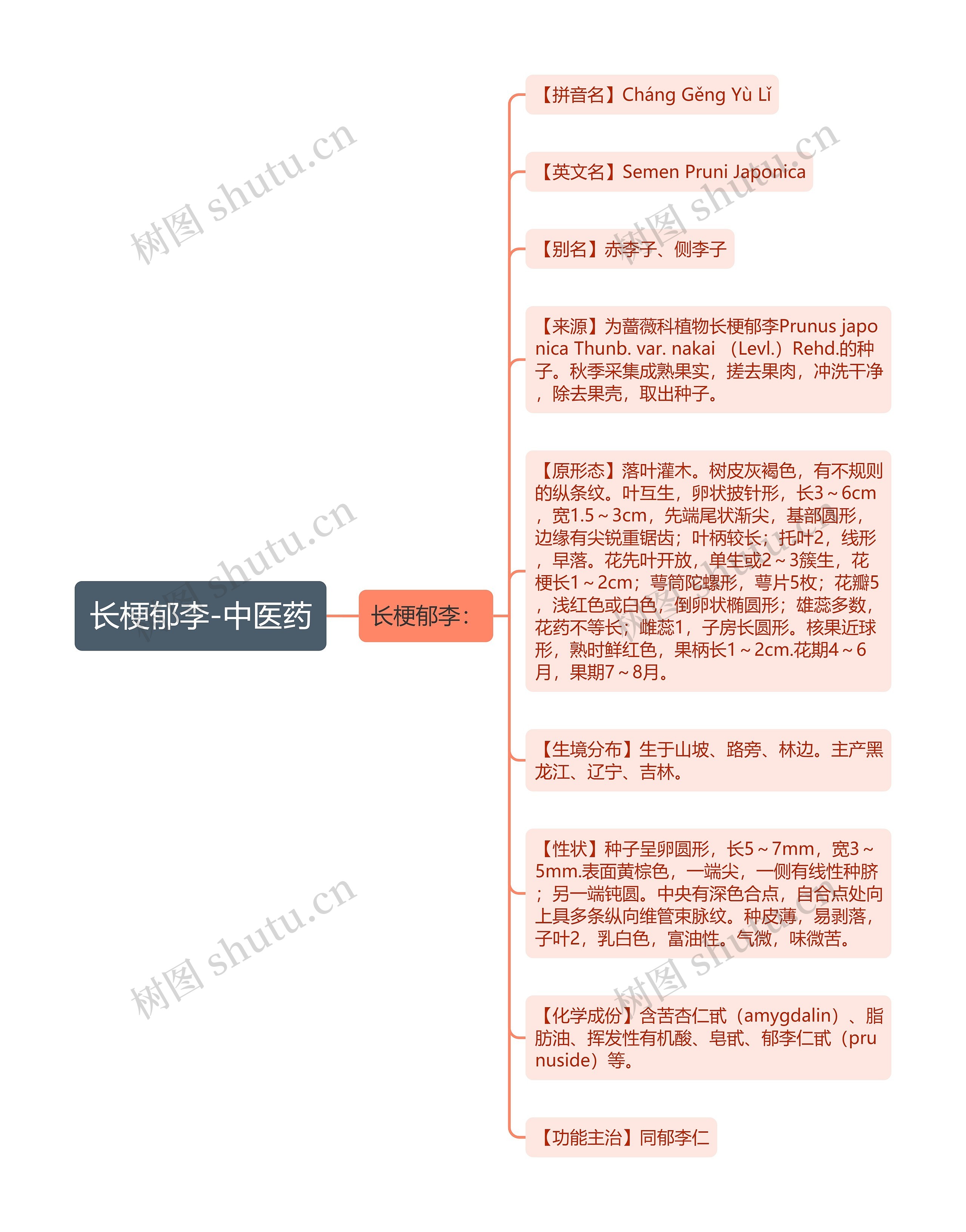 长梗郁李-中医药思维导图