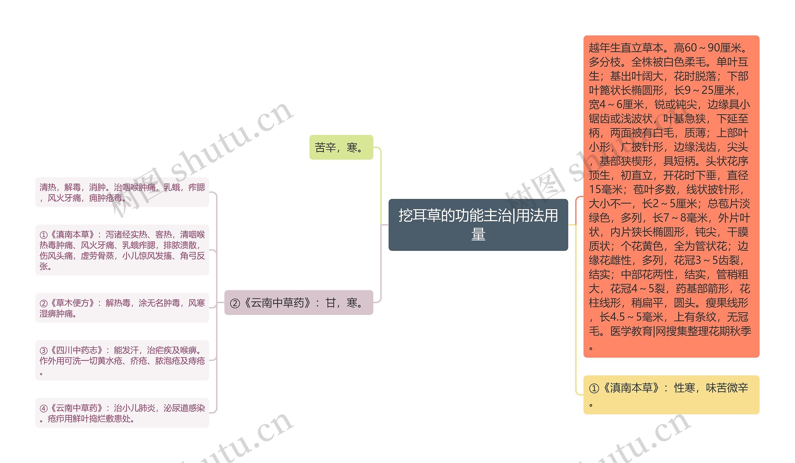 挖耳草的功能主治|用法用量