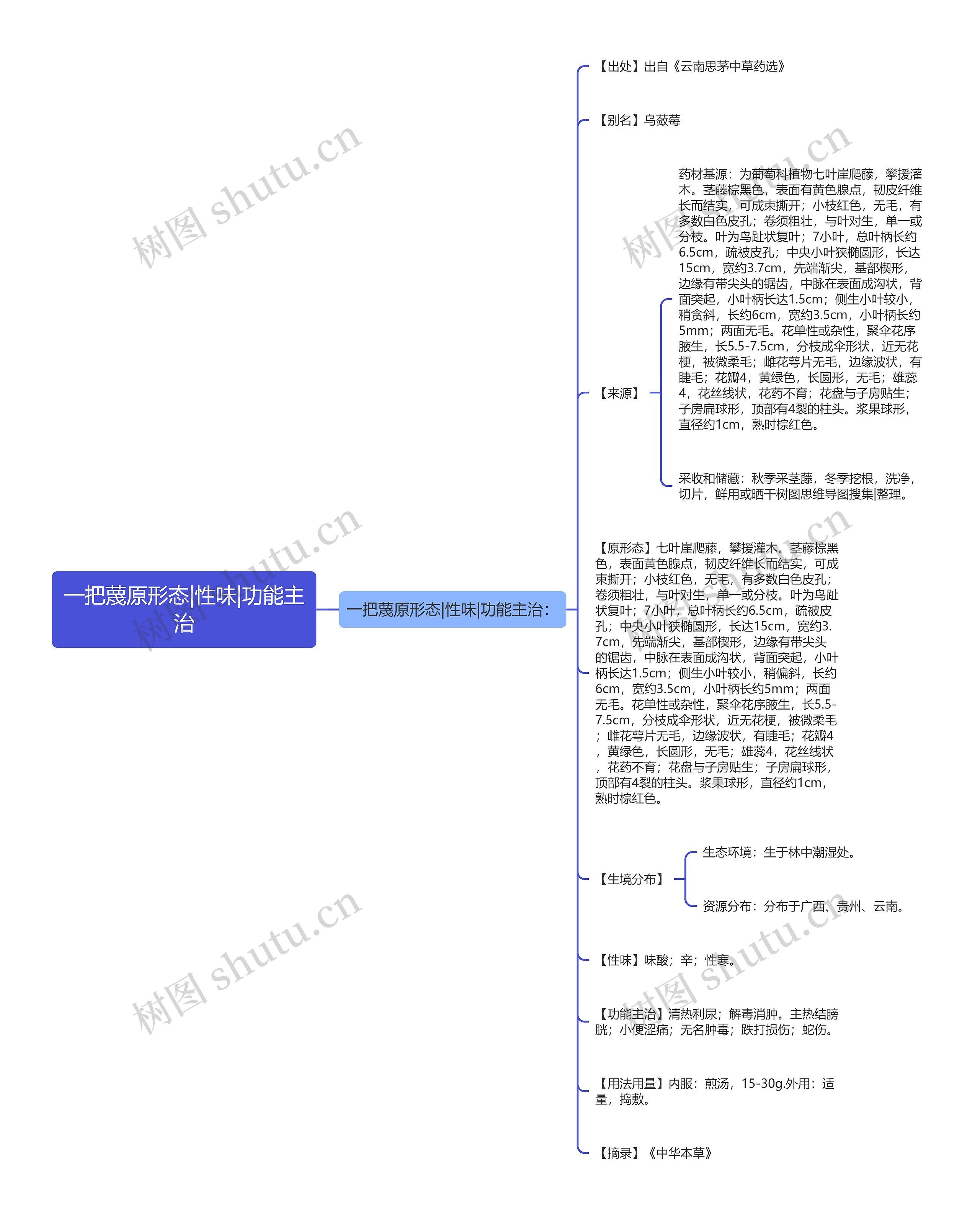 一把蔑原形态|性味|功能主治 一把蔑原形态|性味|功能主治