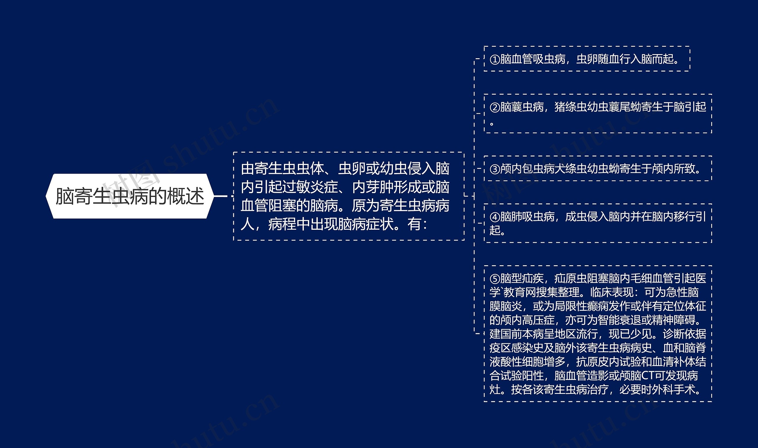 脑寄生虫病的概述 脑寄生虫病的概述