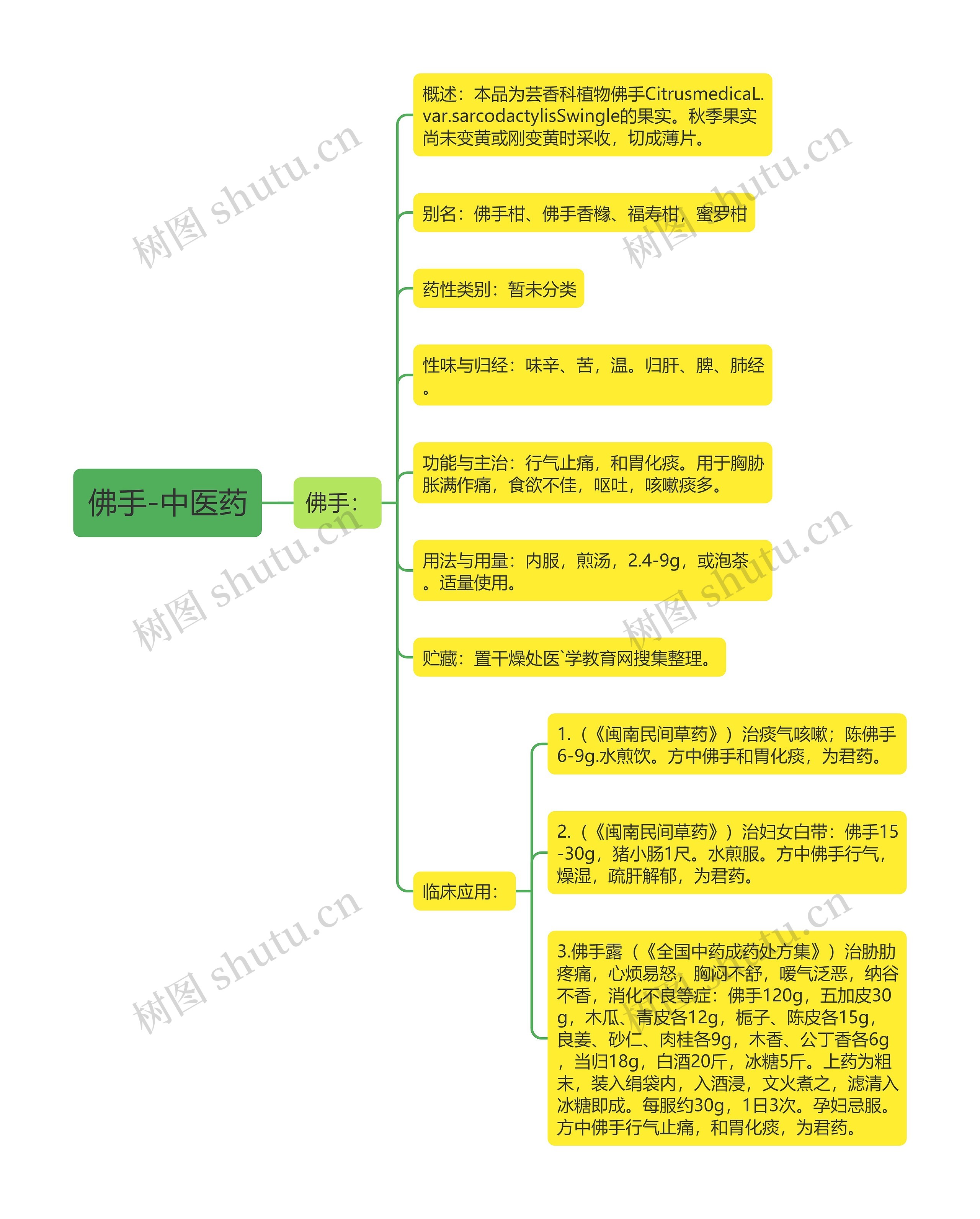 佛手-中医药思维导图