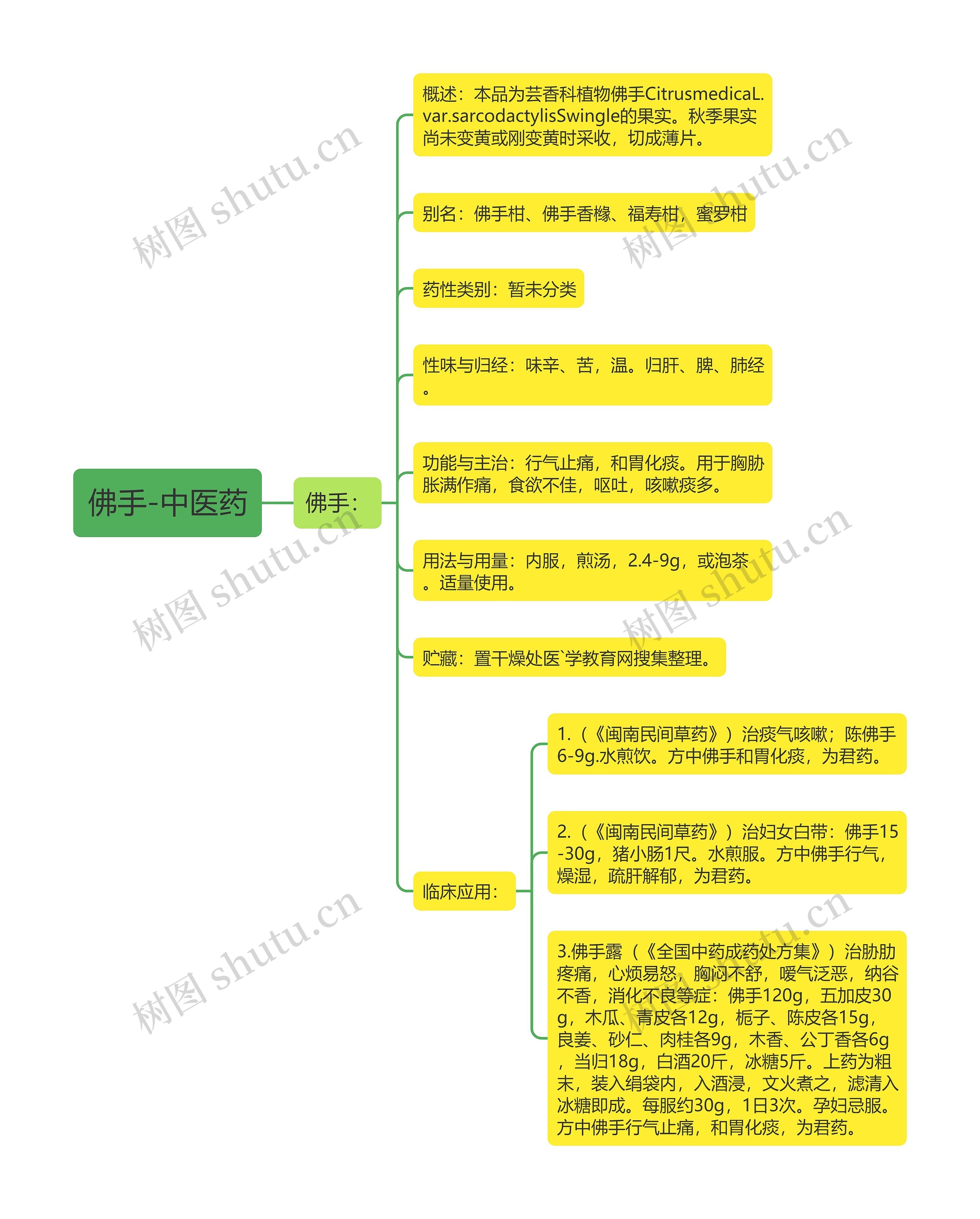佛手-中医药 佛手-中医药