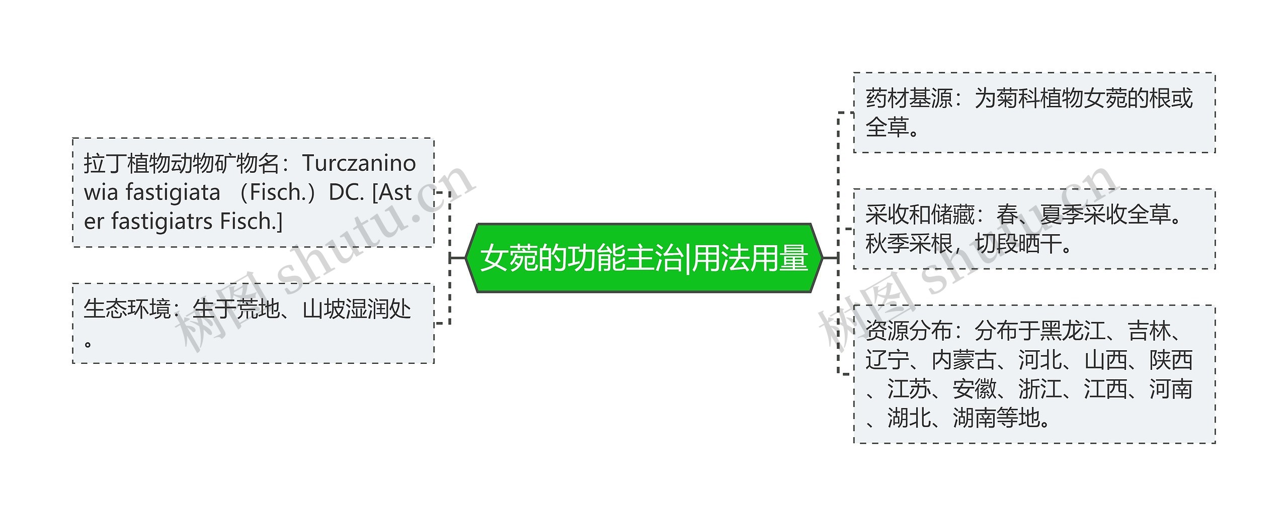 女菀的功能主治|用法用量