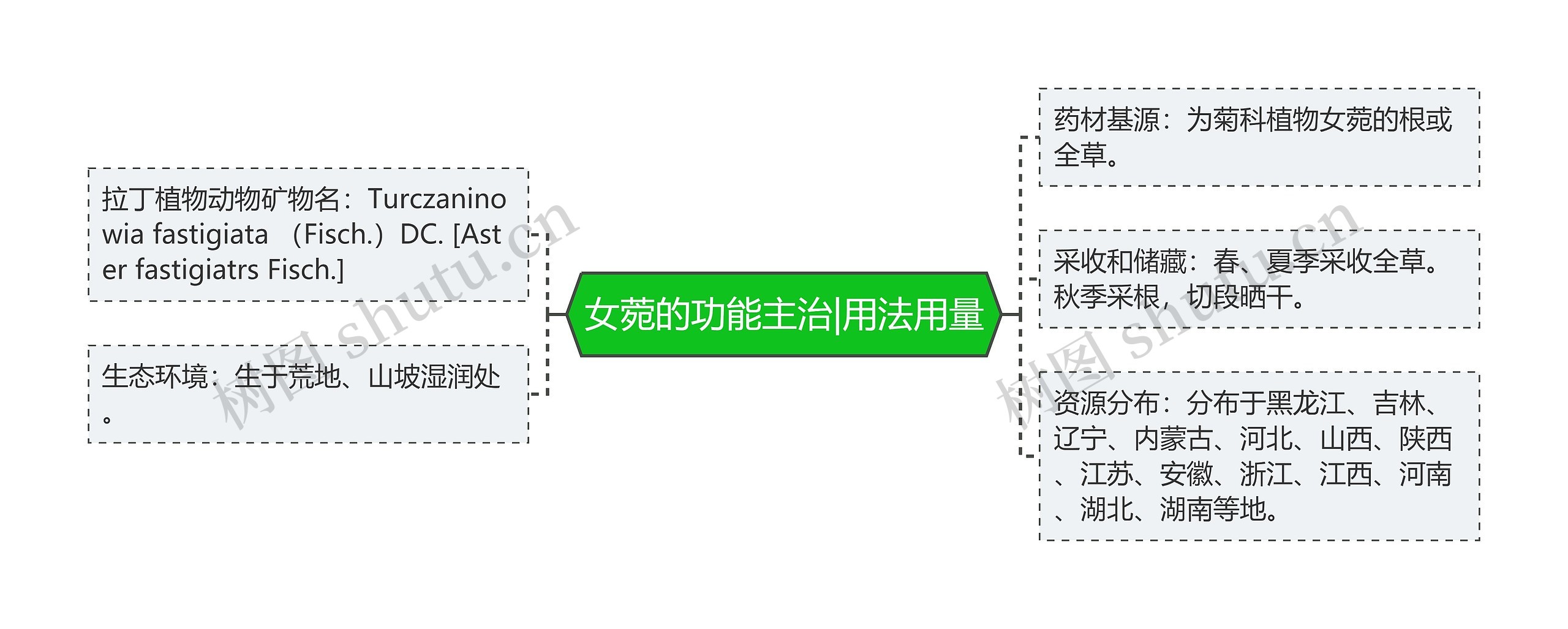 女菀的功能主治|用法用量思维导图