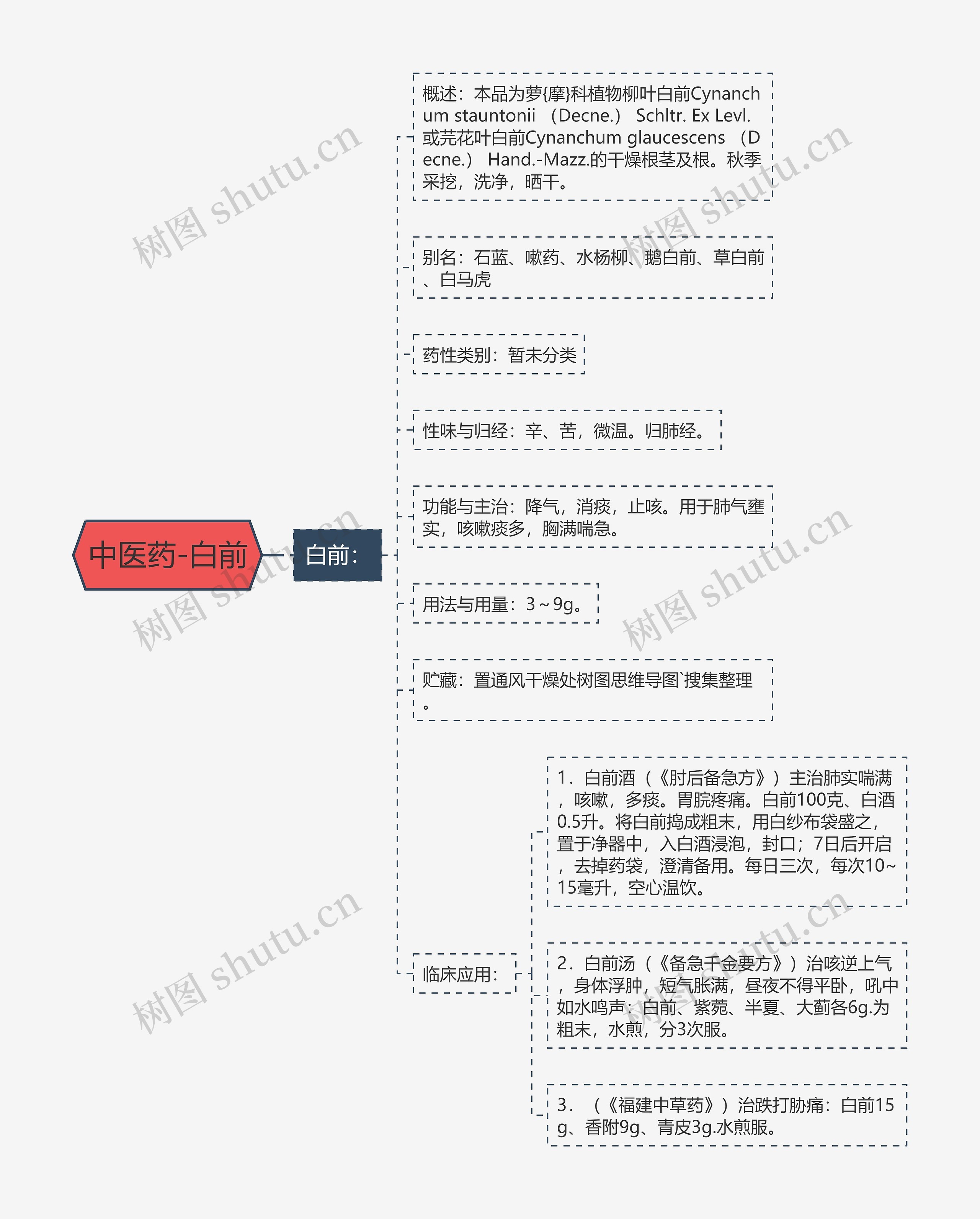 中医药-白前思维导图