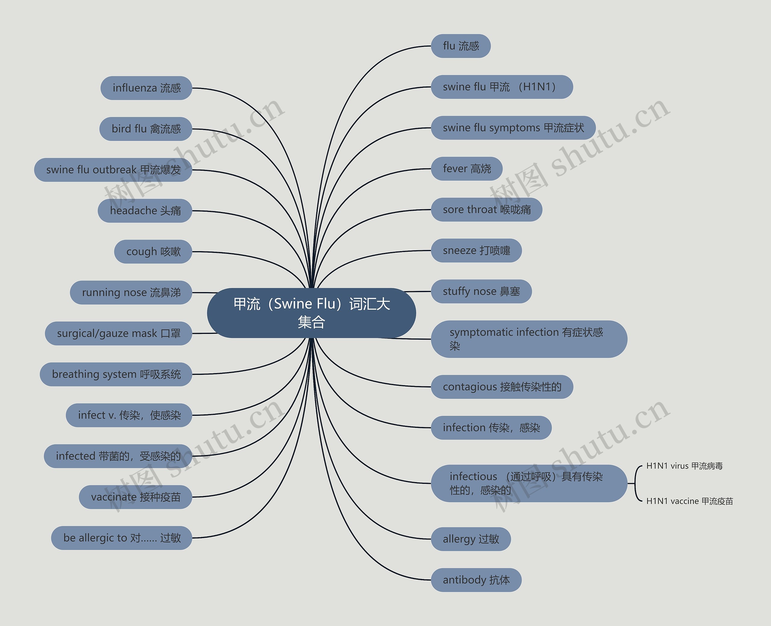甲流(Swine Flu)词汇大集合 甲流(Swine Flu)词汇大集合