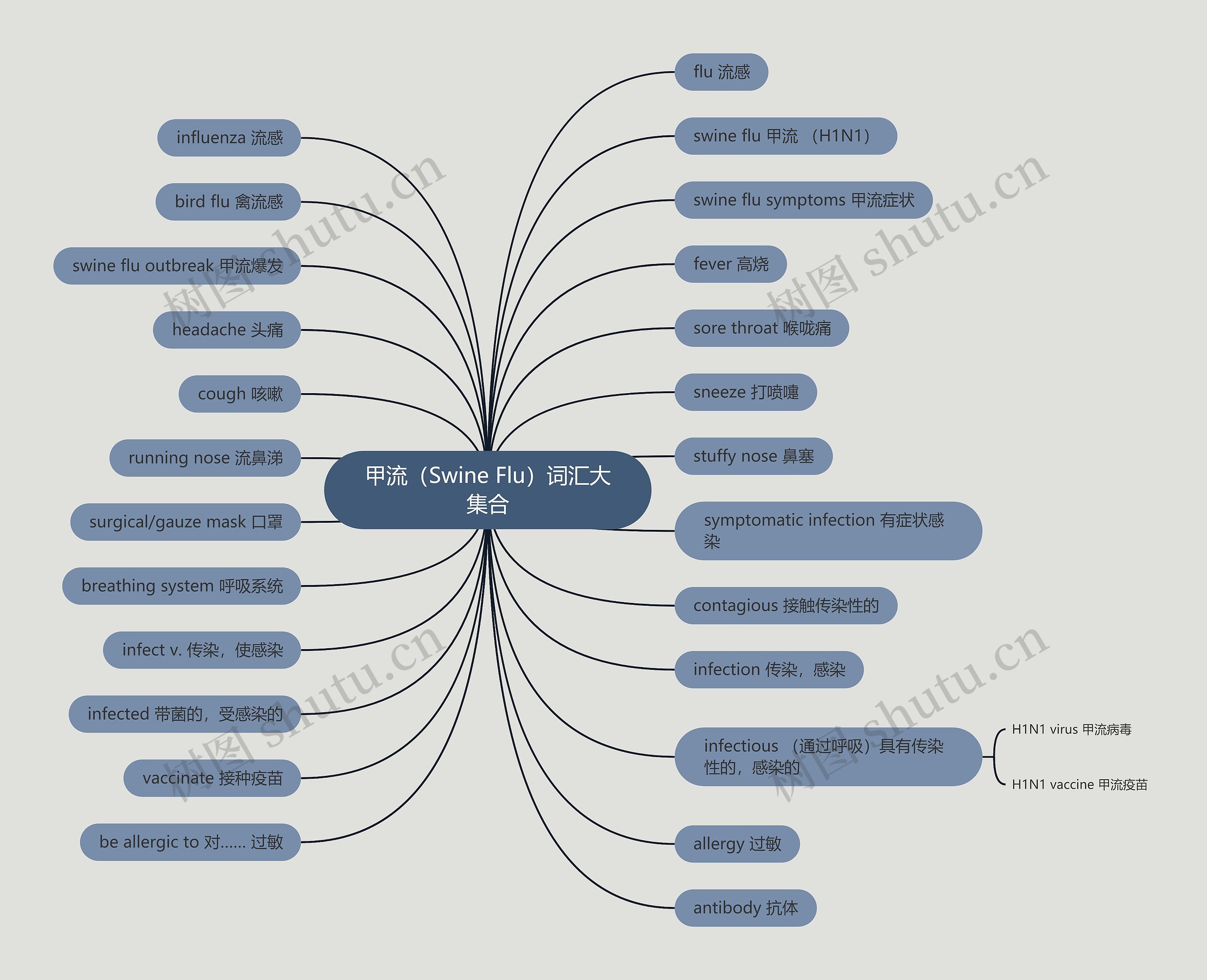 甲流（Swine Flu）词汇大集合思维导图