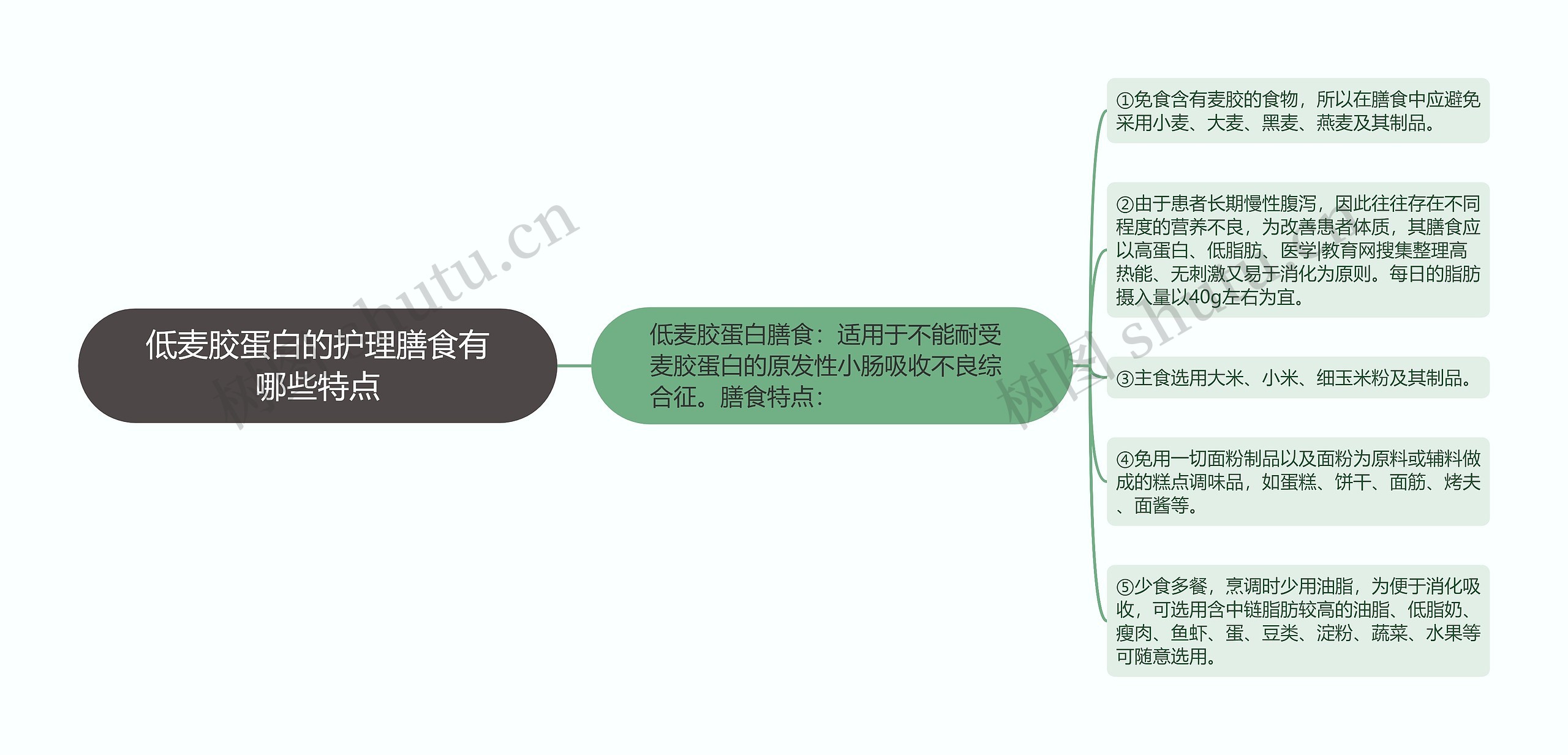 低麦胶蛋白的护理膳食有哪些特点