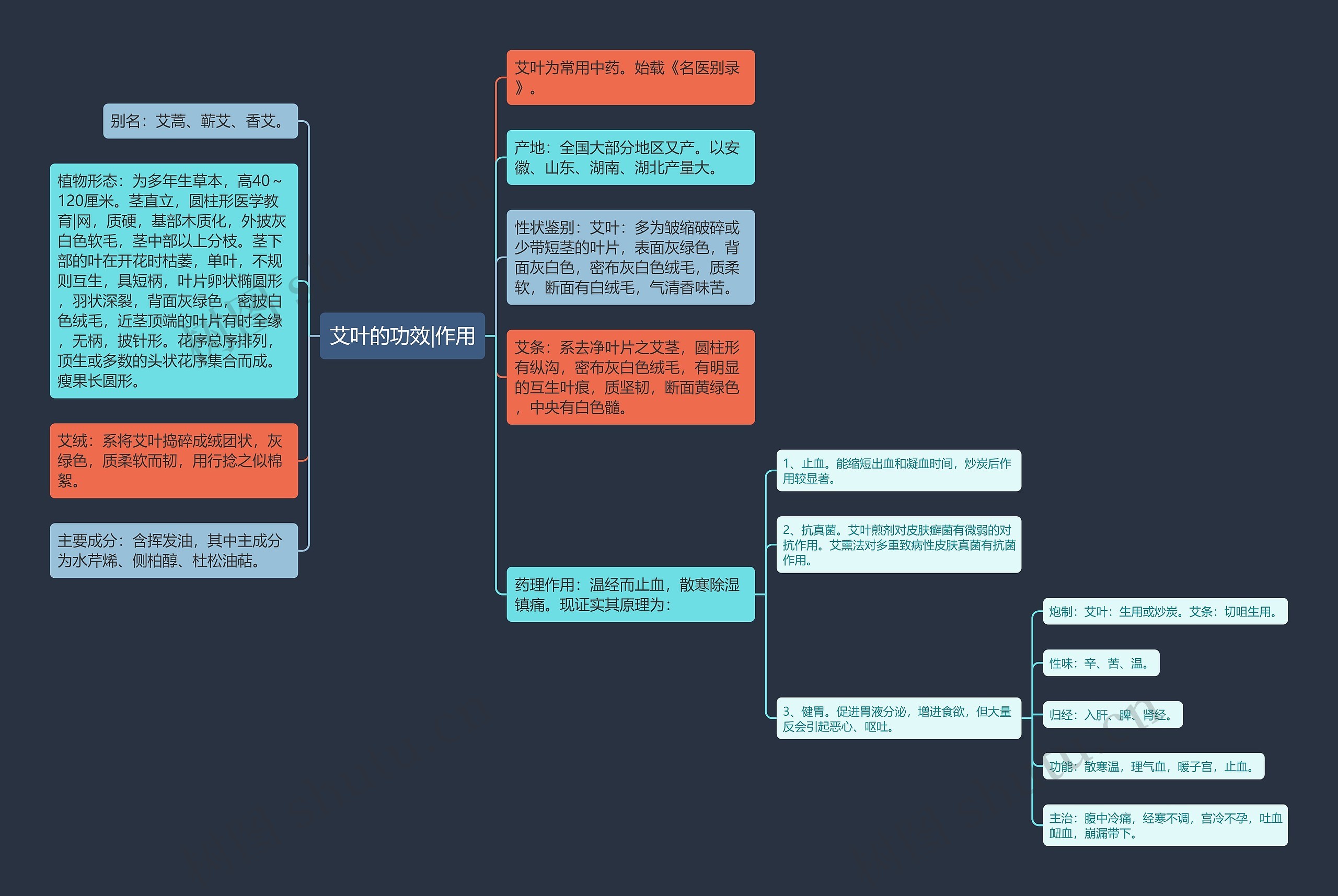 艾叶的功效|作用思维导图
