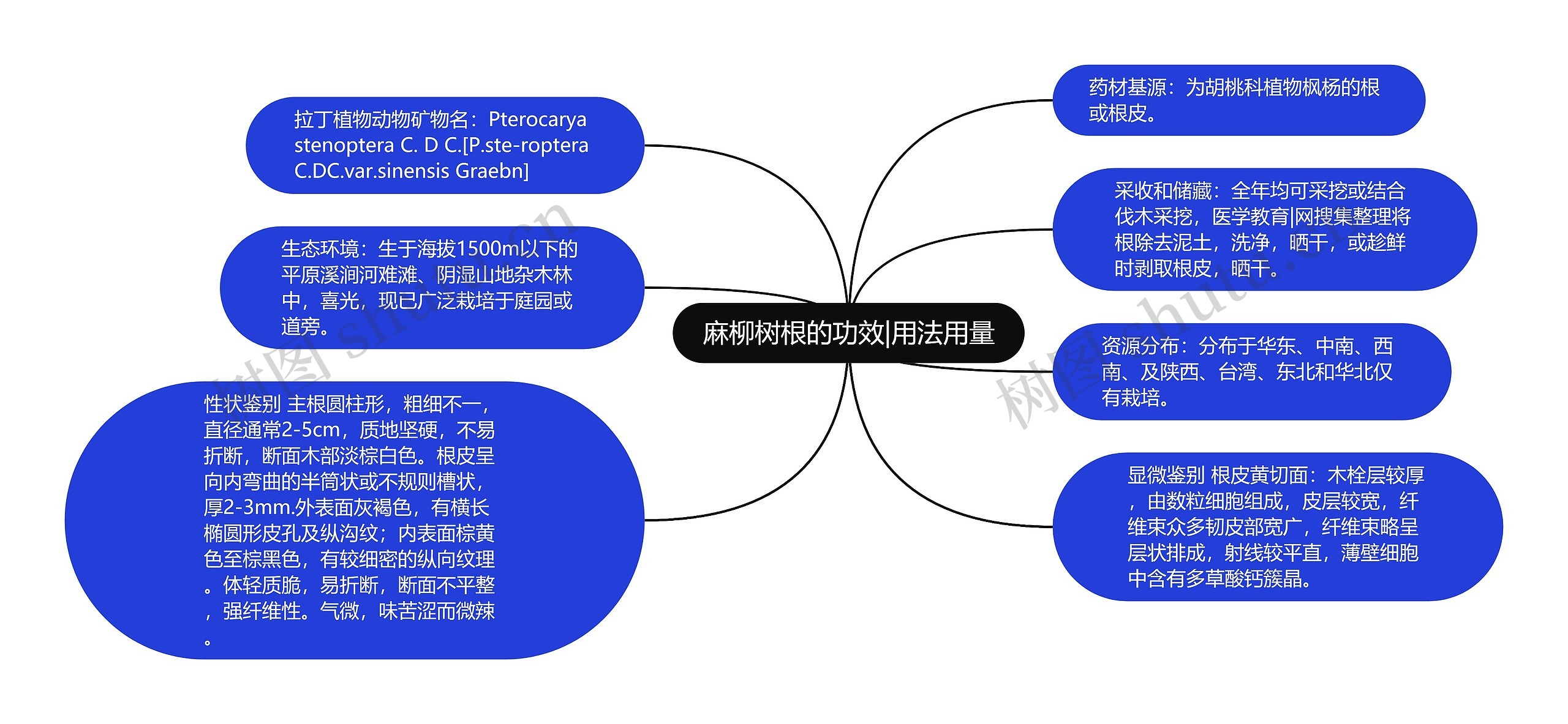 麻柳树根的功效|用法用量