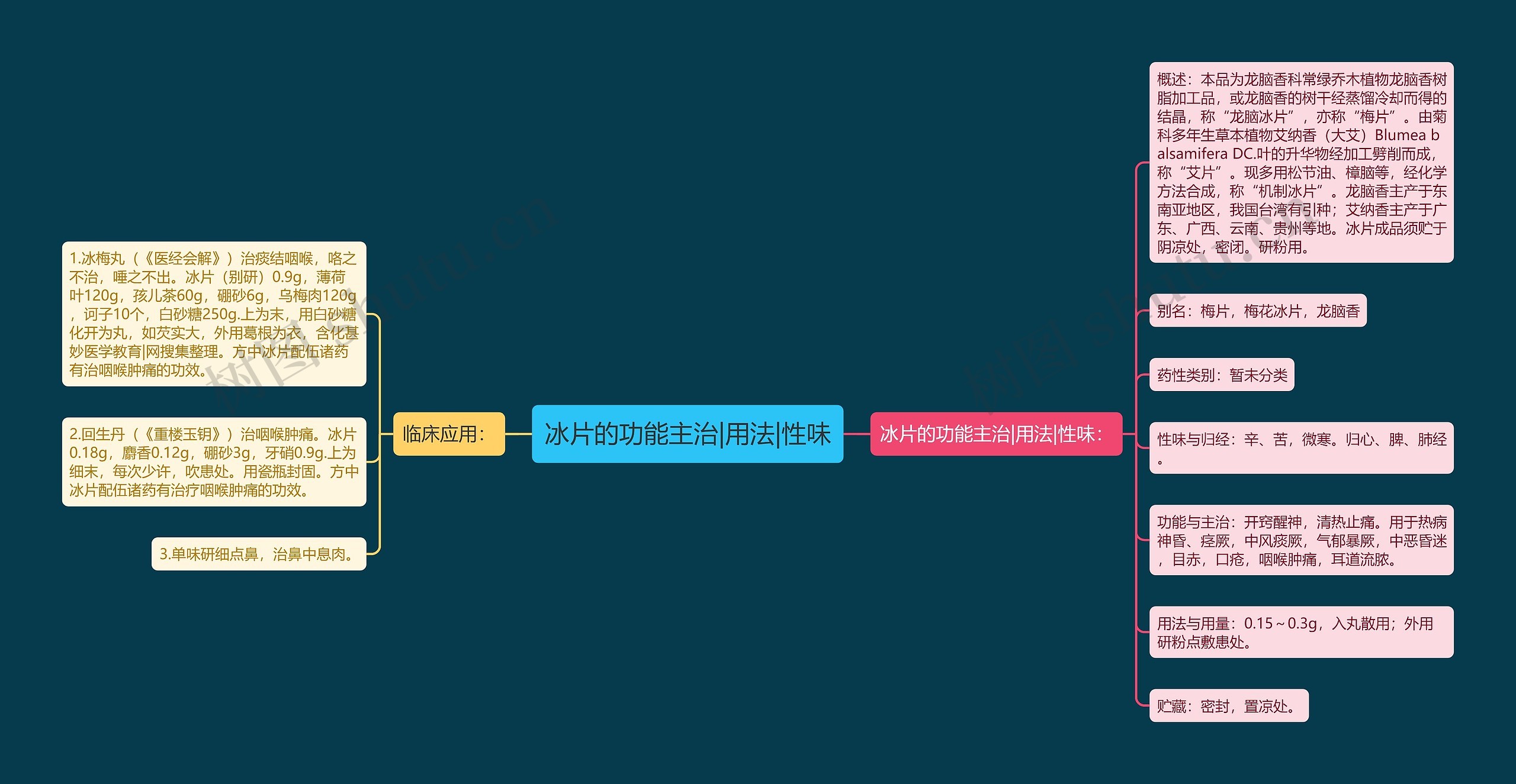 冰片的功能主治|用法|性味思维导图