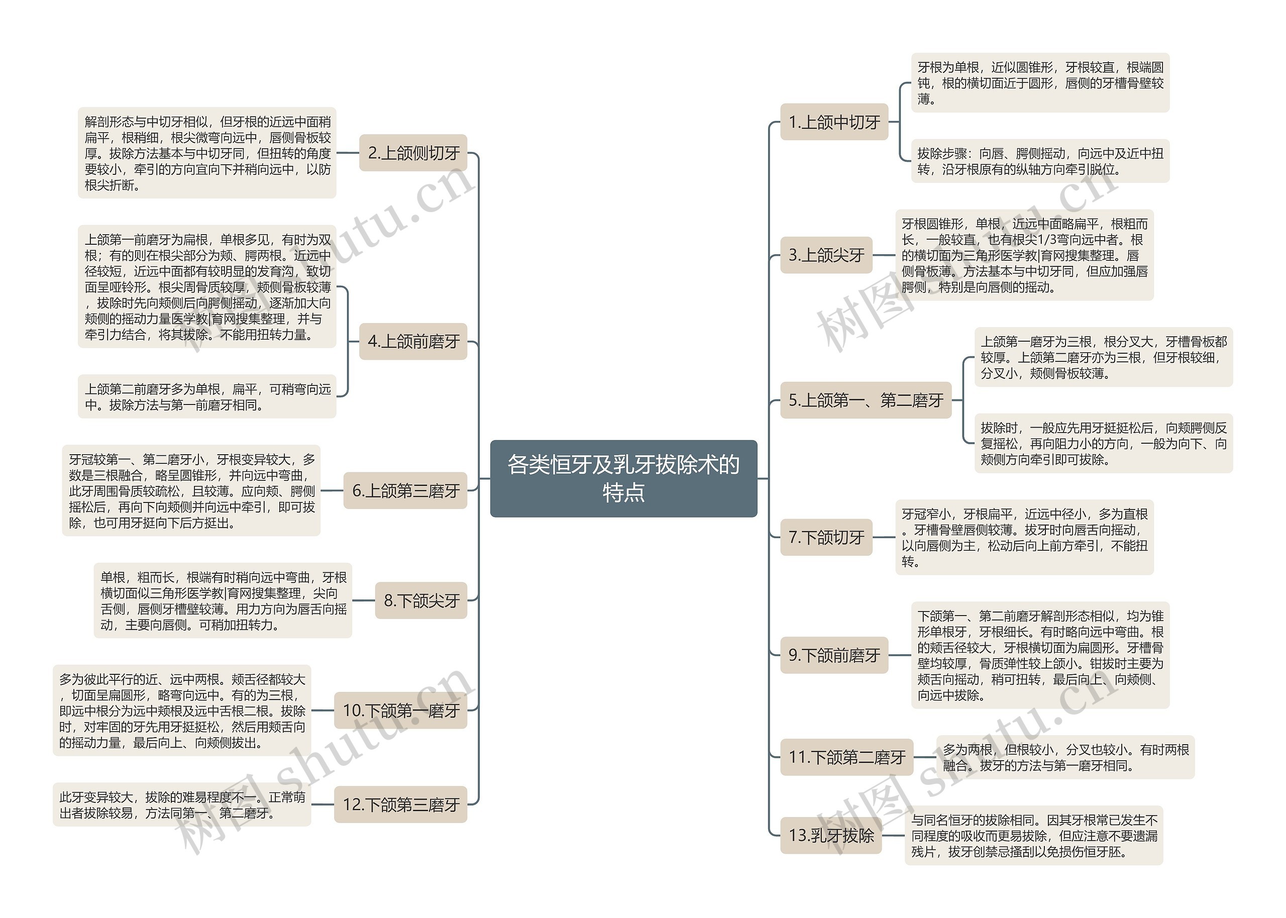 各类恒牙及乳牙拔除术的特点 各类恒牙及乳牙拔除术的特点