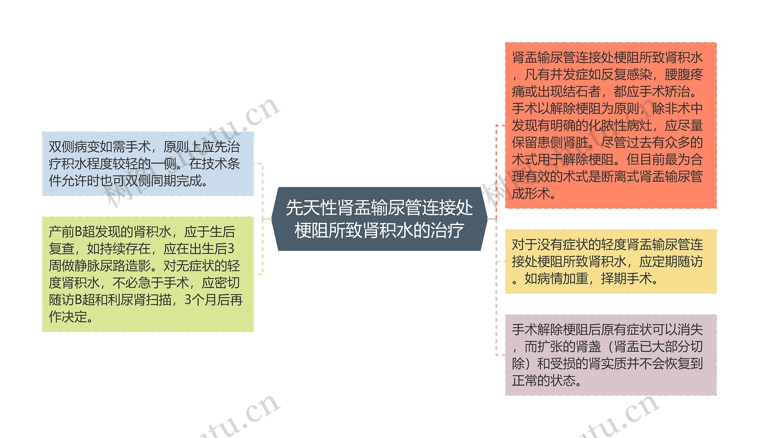 先天性肾盂输尿管连接处梗阻所致肾积水的治疗思维导图