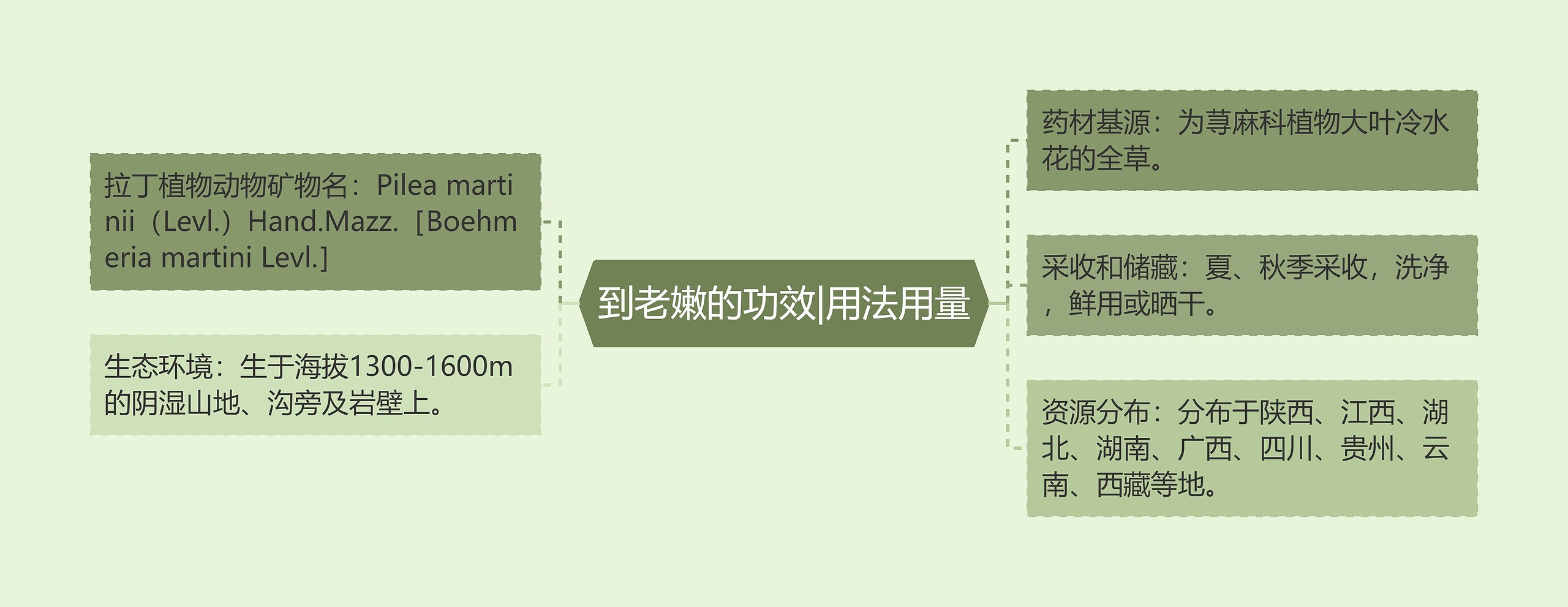 到老嫩的功效|用法用量