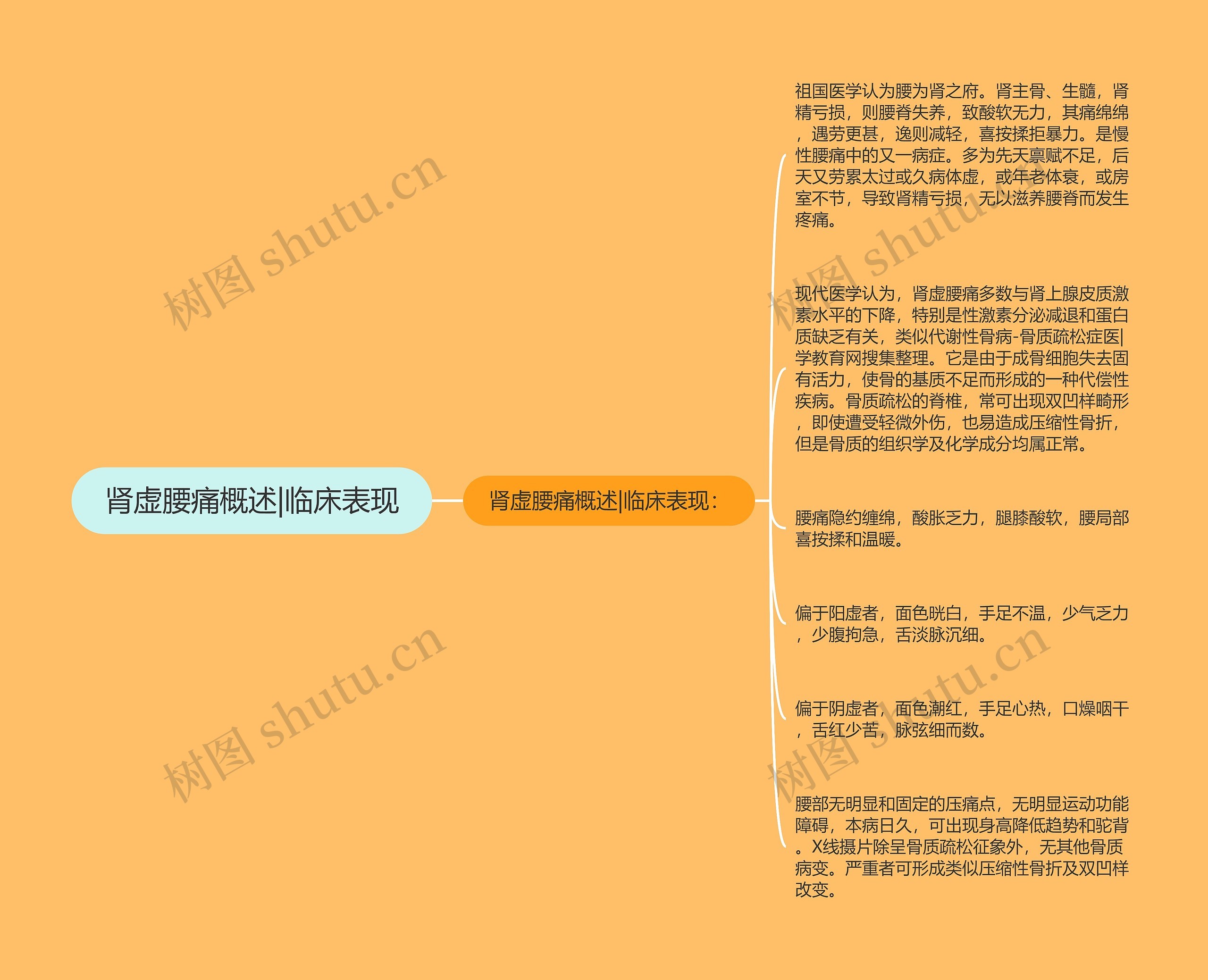 肾虚腰痛概述|临床表现 肾虚腰痛概述|临床表现