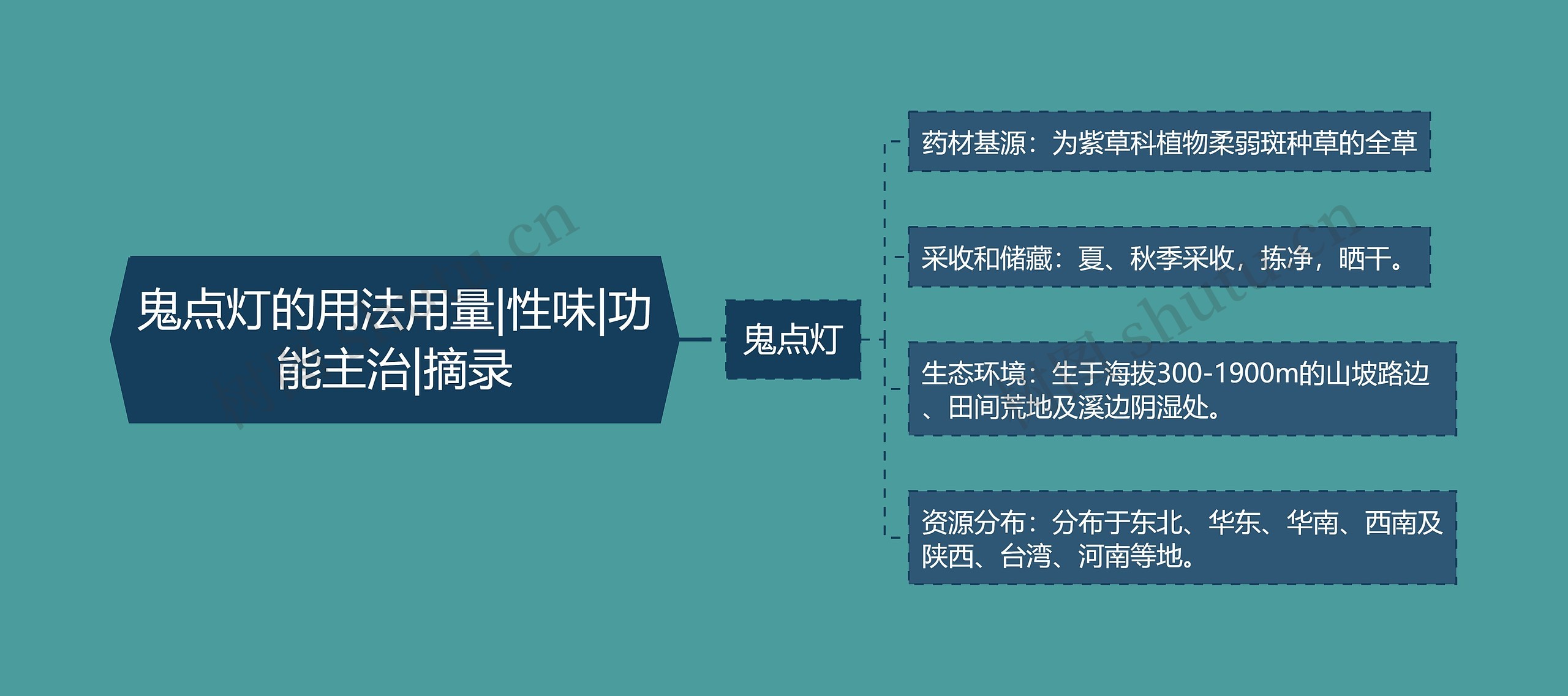 鬼点灯的用法用量|性味|功能主治|摘录思维导图