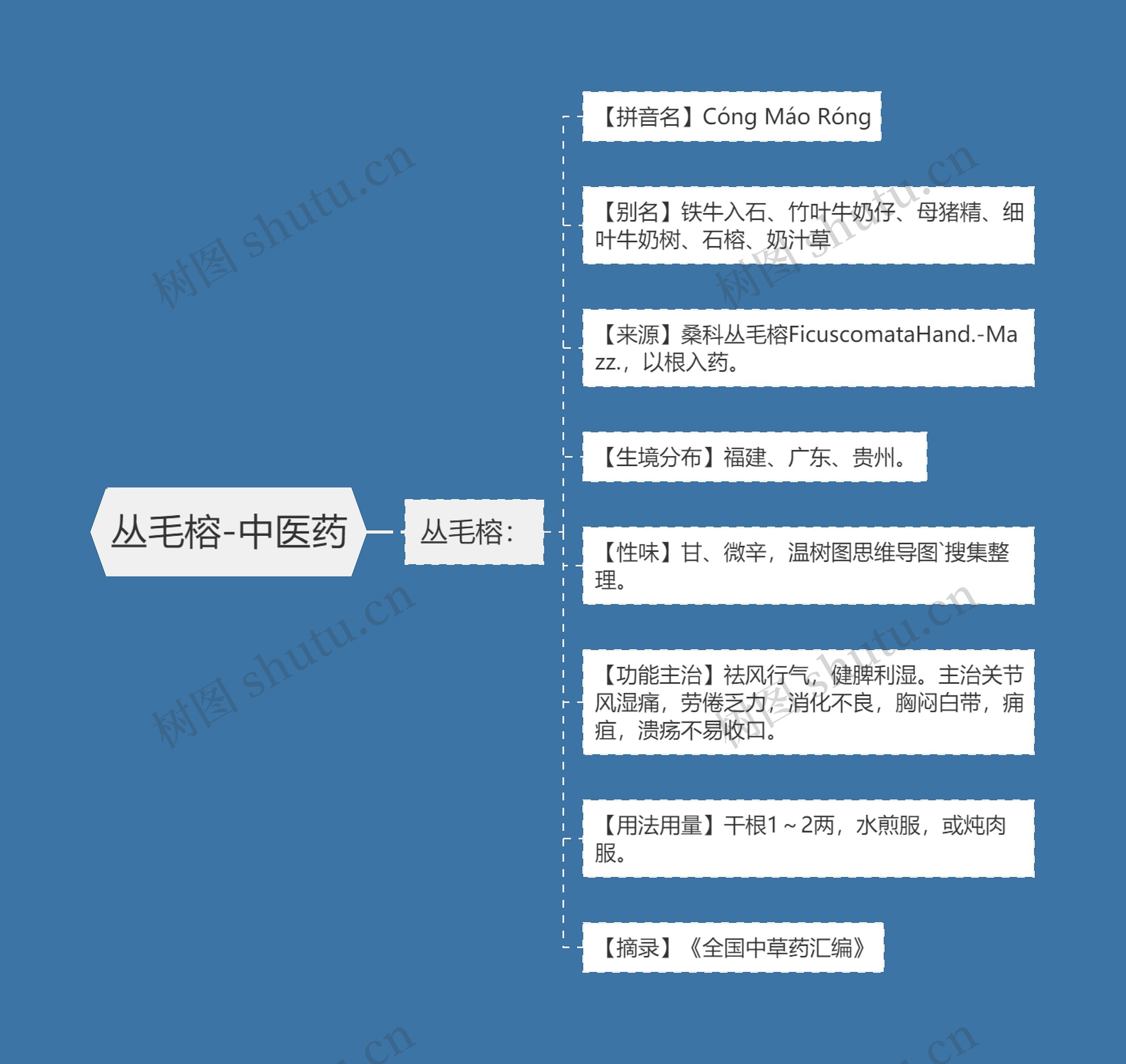 丛毛榕-中医药 丛毛榕-中医药